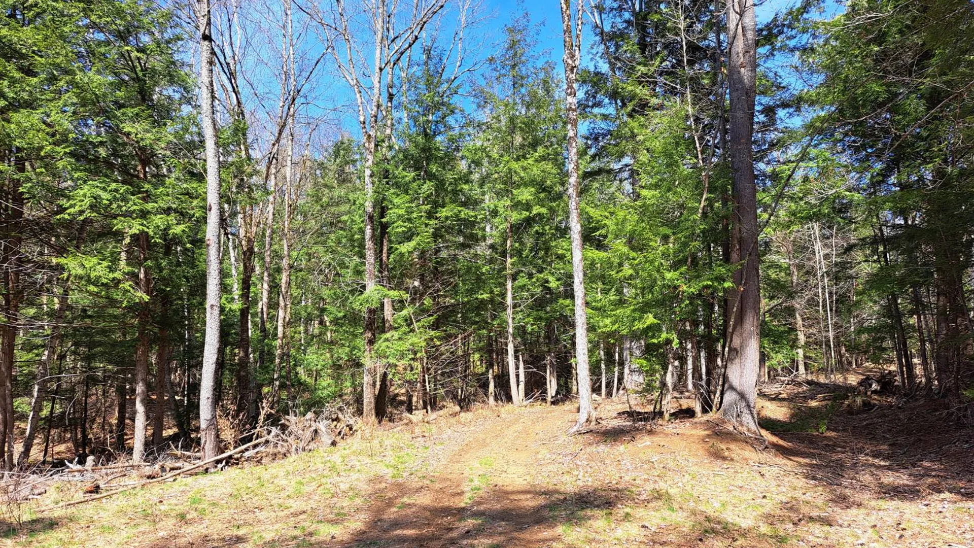 Property at L 21.1 Cloverleaf Drive, Warrensburg, NY 12885 32