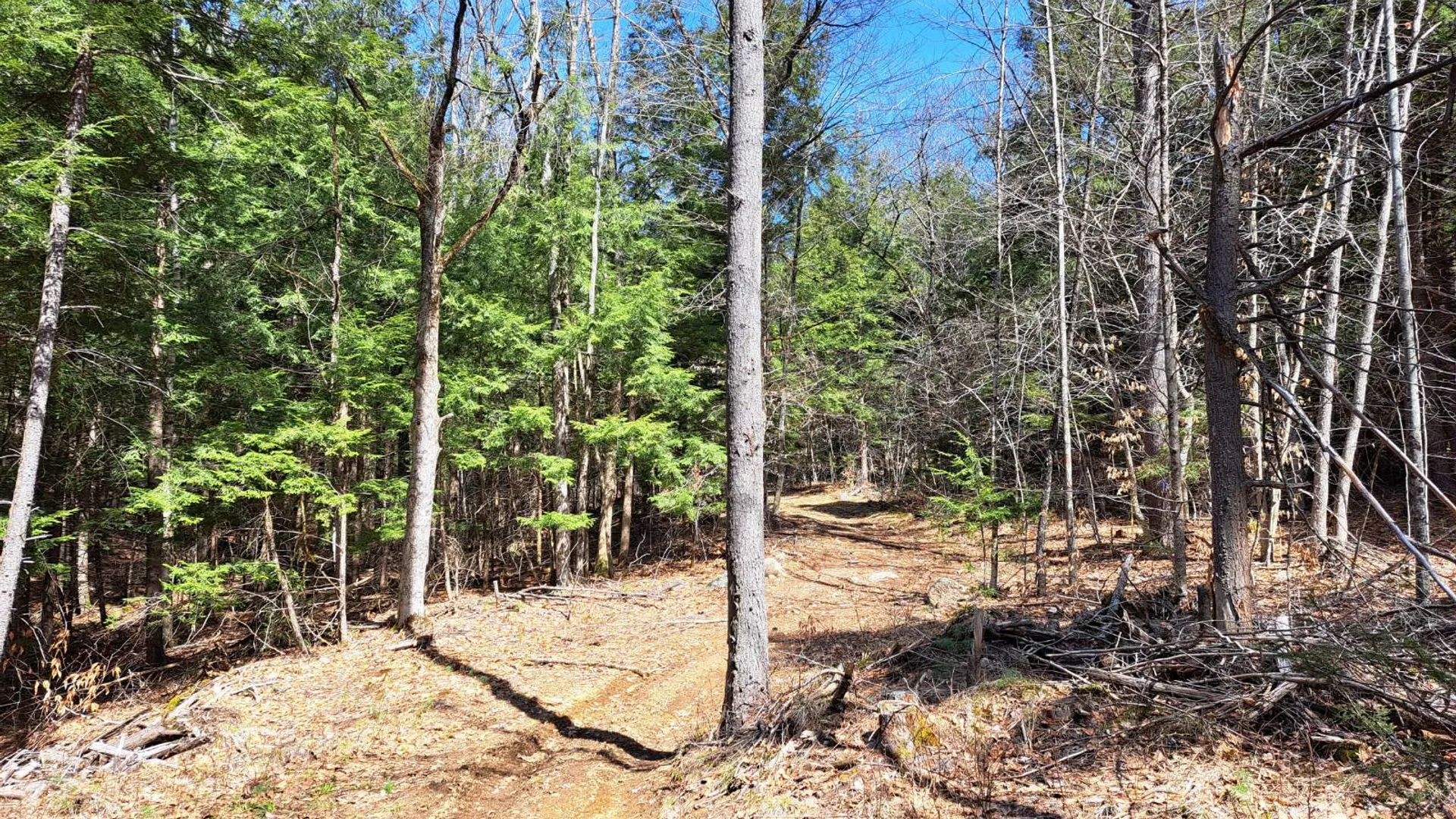 Property at L 21.1 Cloverleaf Drive, Warrensburg, NY 12885 34