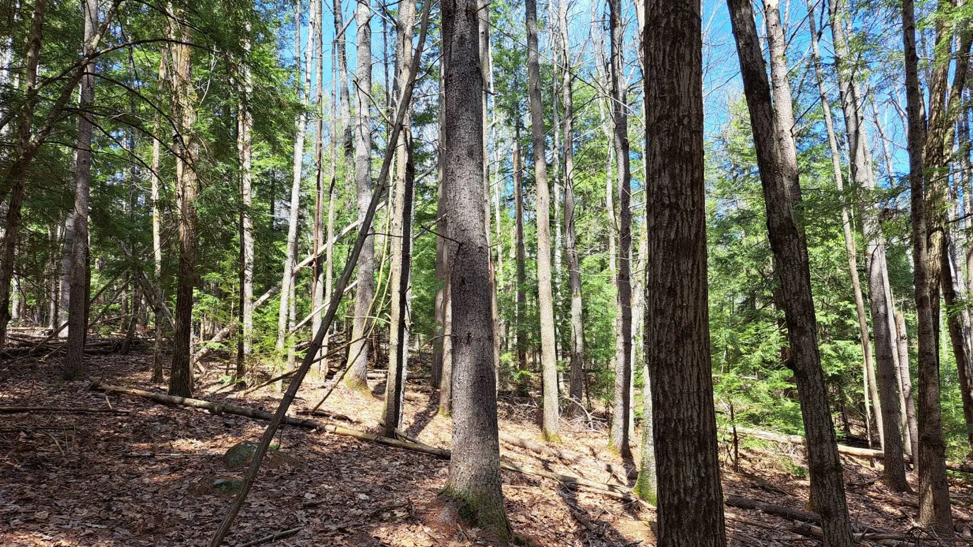 Property at L 21.1 Cloverleaf Drive, Warrensburg, NY 12885 39