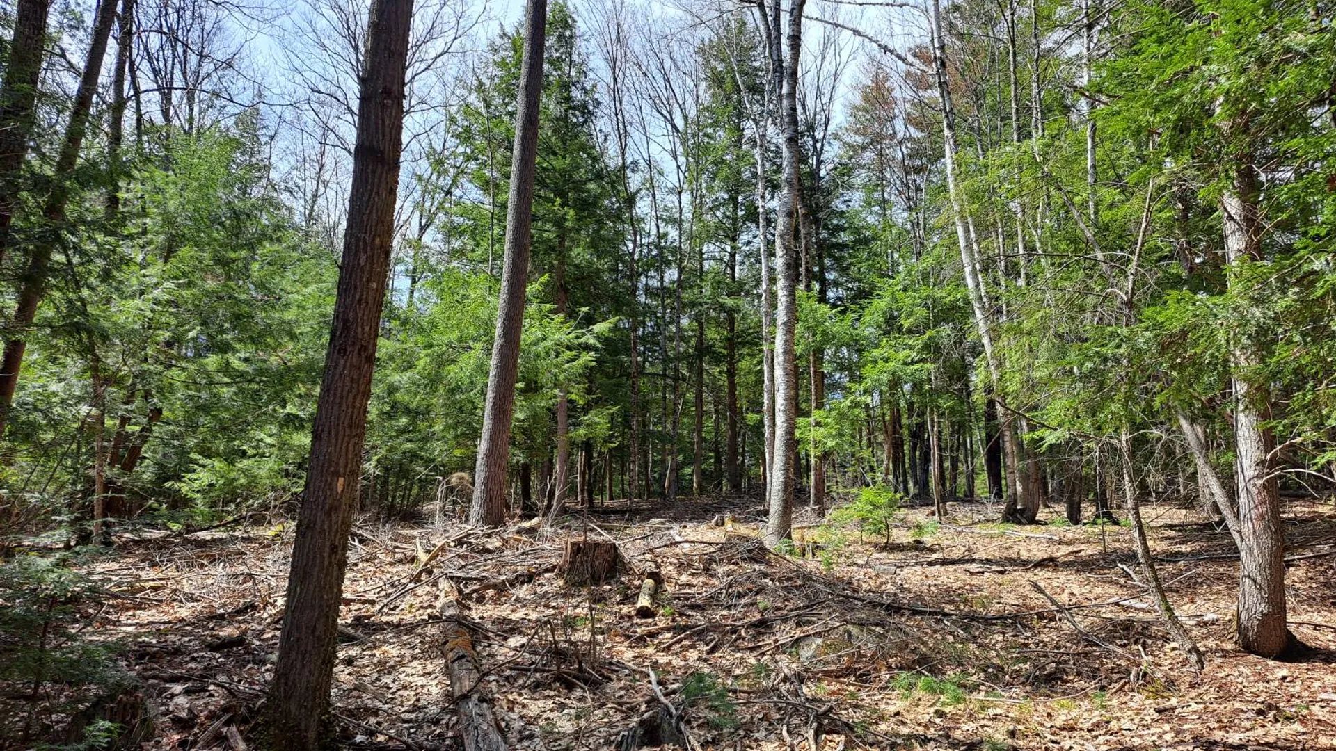 Property at L 21.1 Cloverleaf Drive, Warrensburg, NY 12885 42