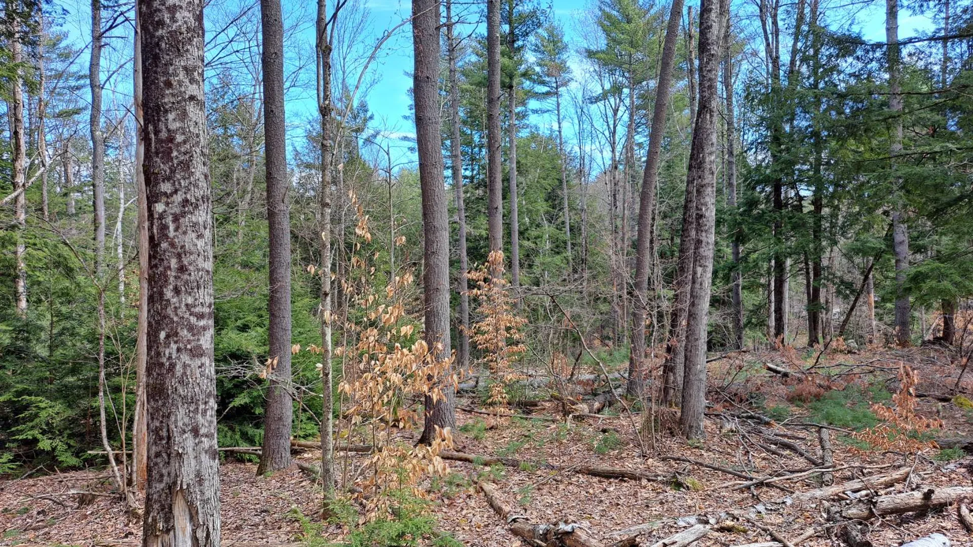 Property at L 21.1 Cloverleaf Drive, Warrensburg, NY 12885 44