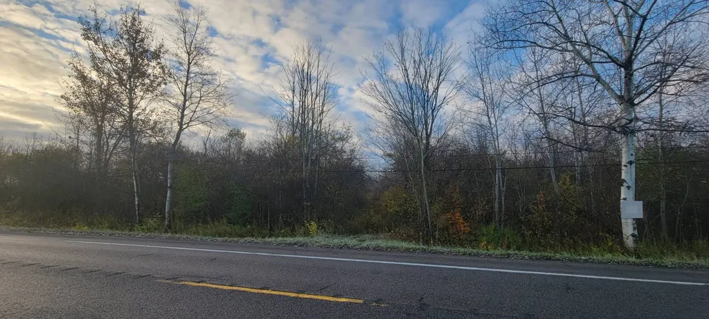 Property at 00 St Rt 13, Pulaski, NY 13142