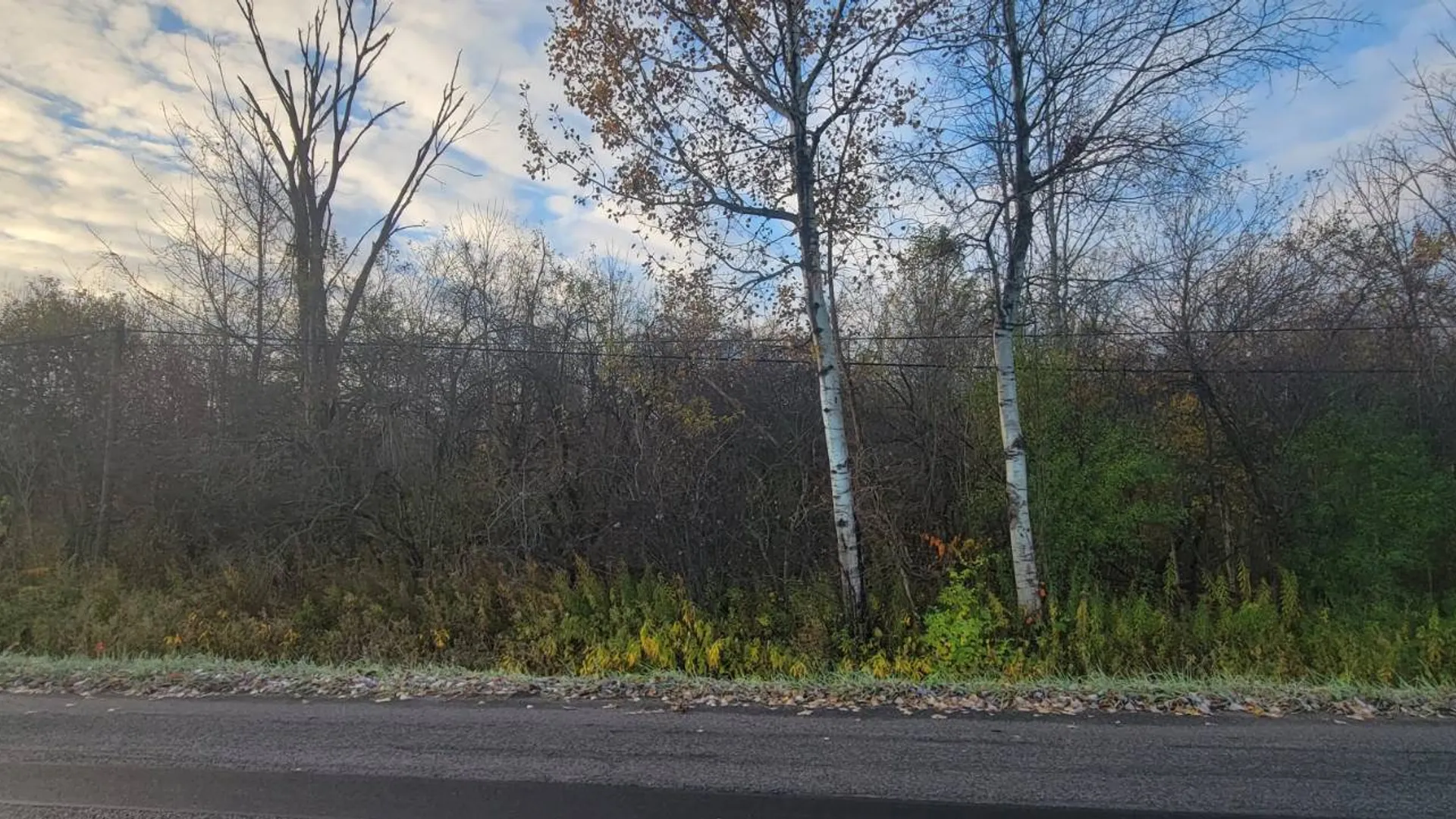 Property at 00 St Rt 13, Pulaski, NY 13142 3