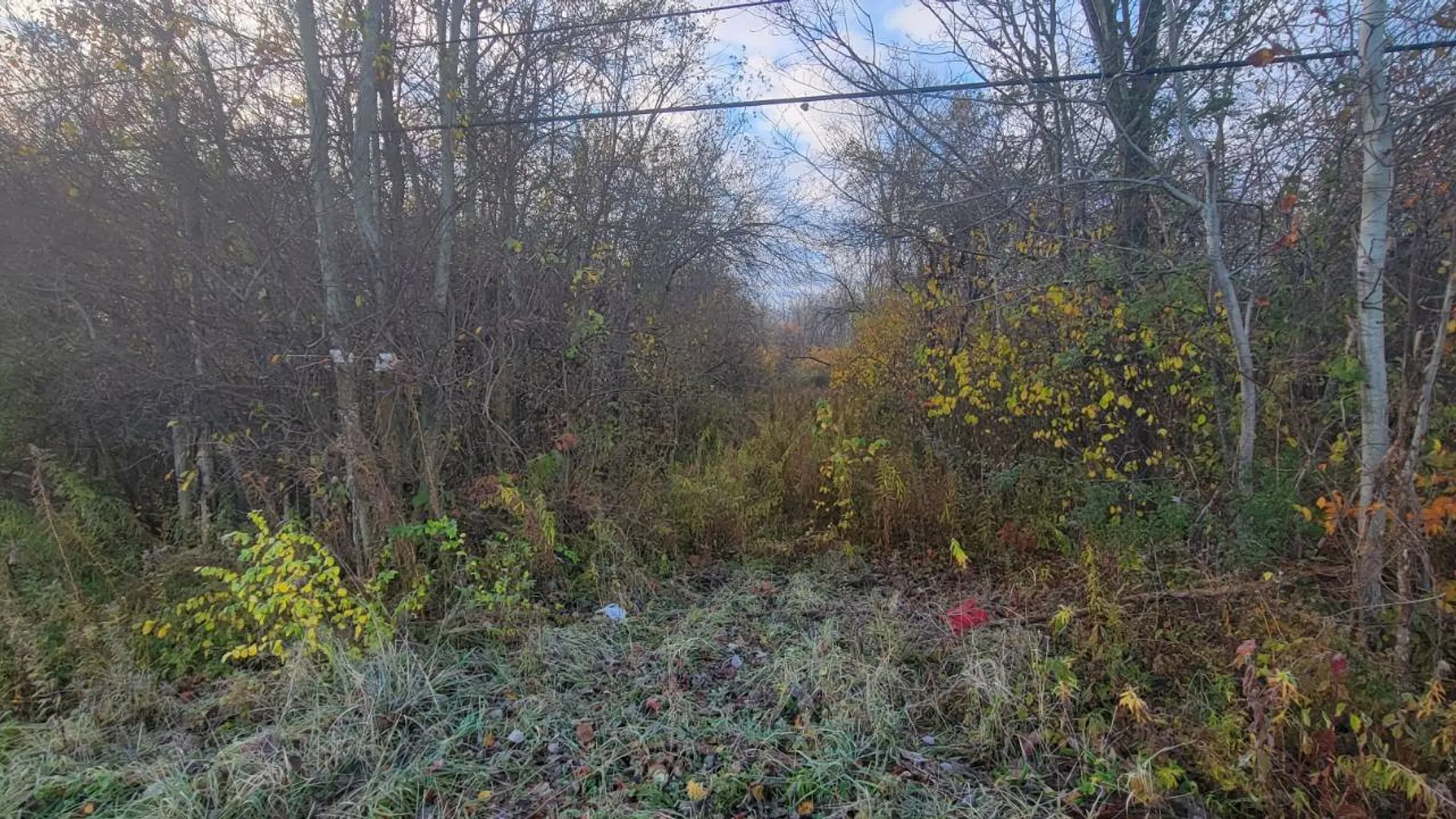 Property at 00 St Rt 13, Pulaski, NY 13142 7