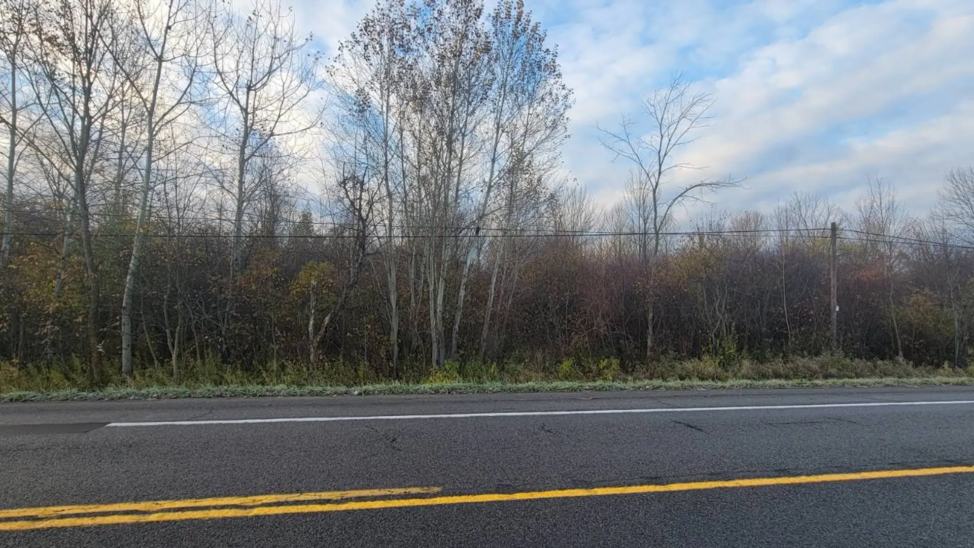 Property at 00 St Rt 13, Pulaski, NY 13142 8