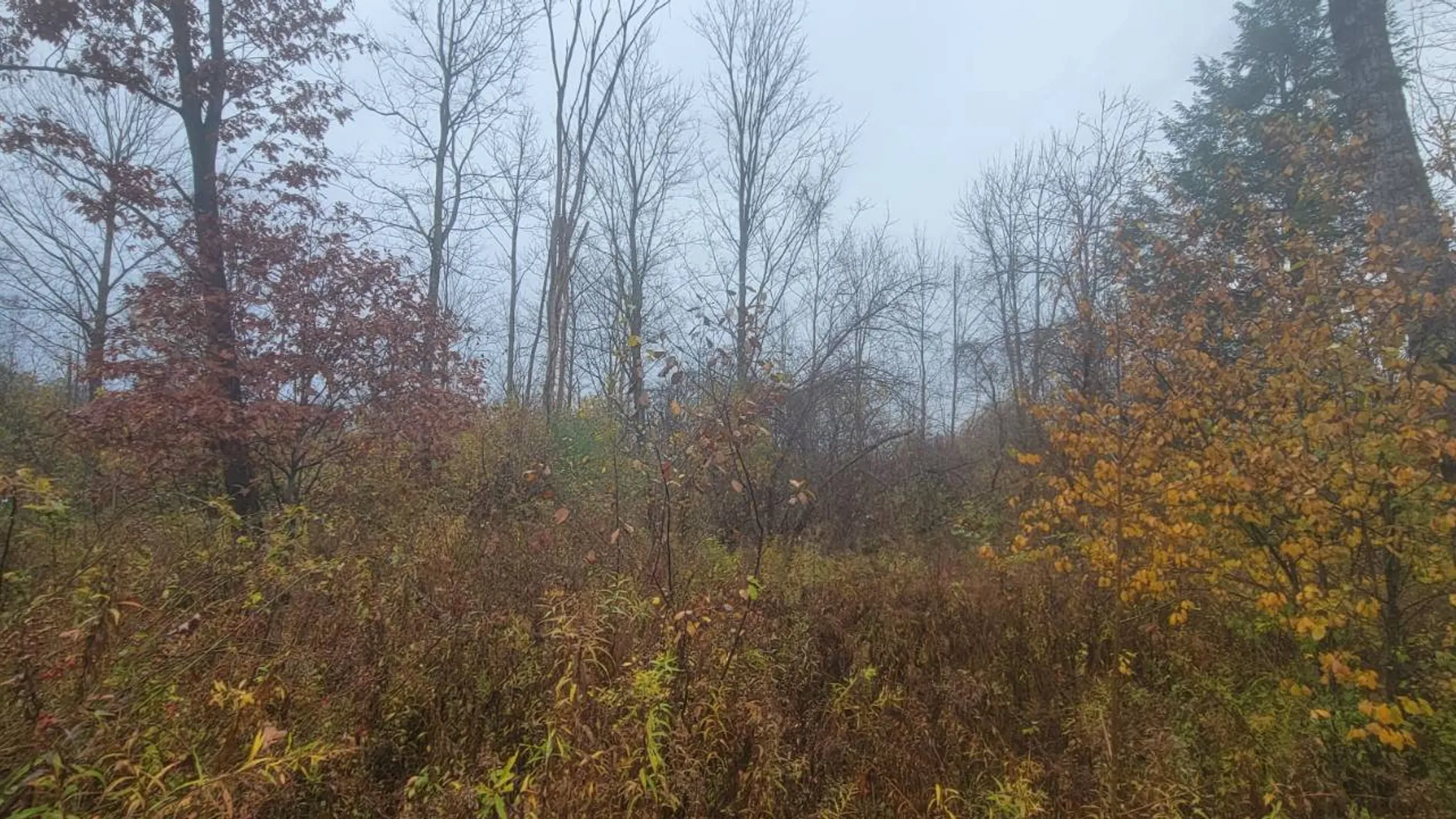Property at 00 St Rt 13, Pulaski, NY 13142 9