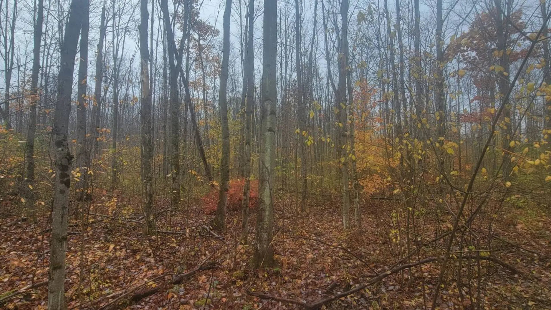 Property at 00 St Rt 13, Pulaski, NY 13142 10