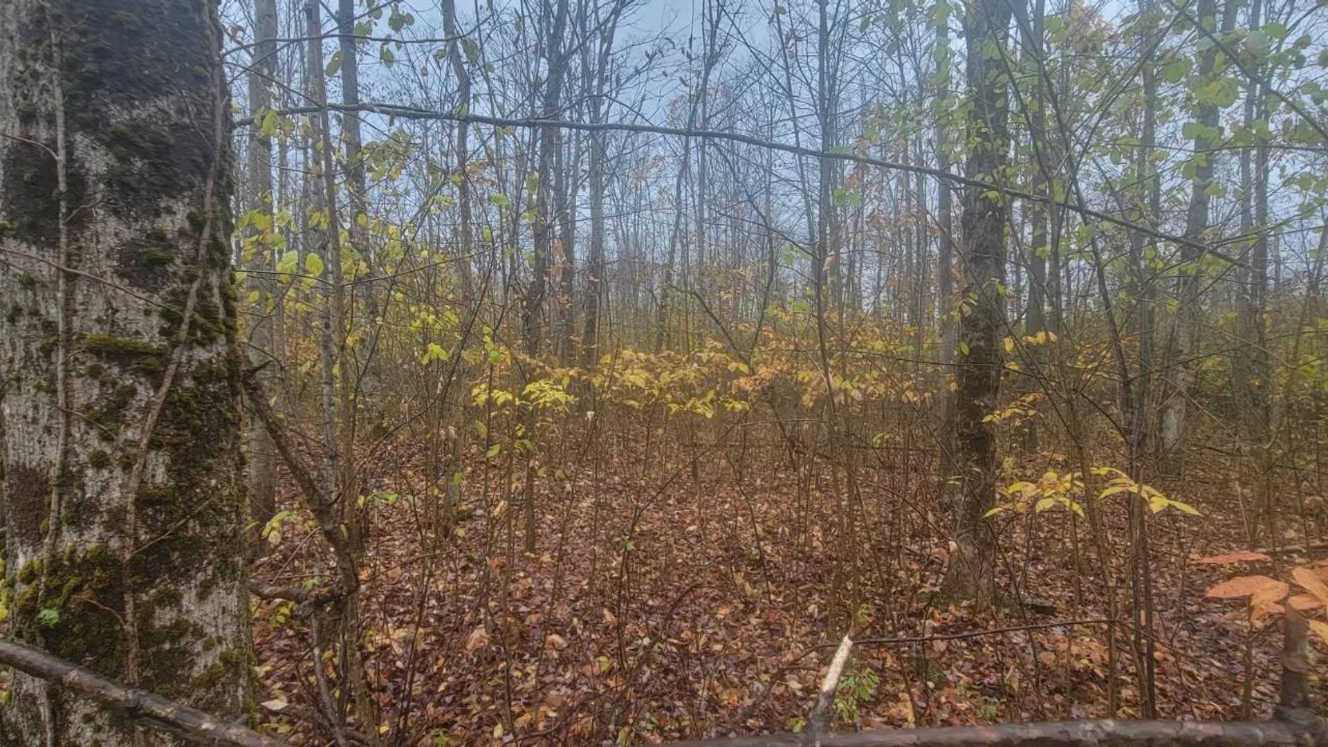 Property at 00 St Rt 13, Pulaski, NY 13142 11