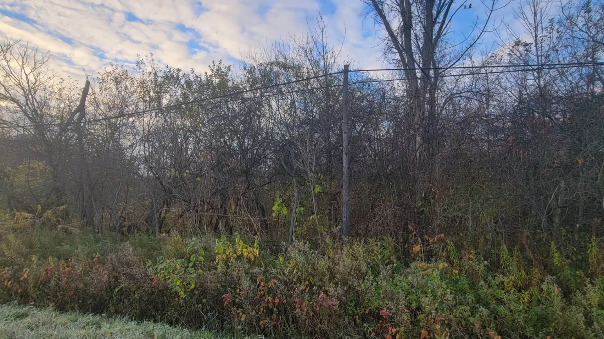 Property at 00 St Rt 13, Pulaski, NY 13142 12