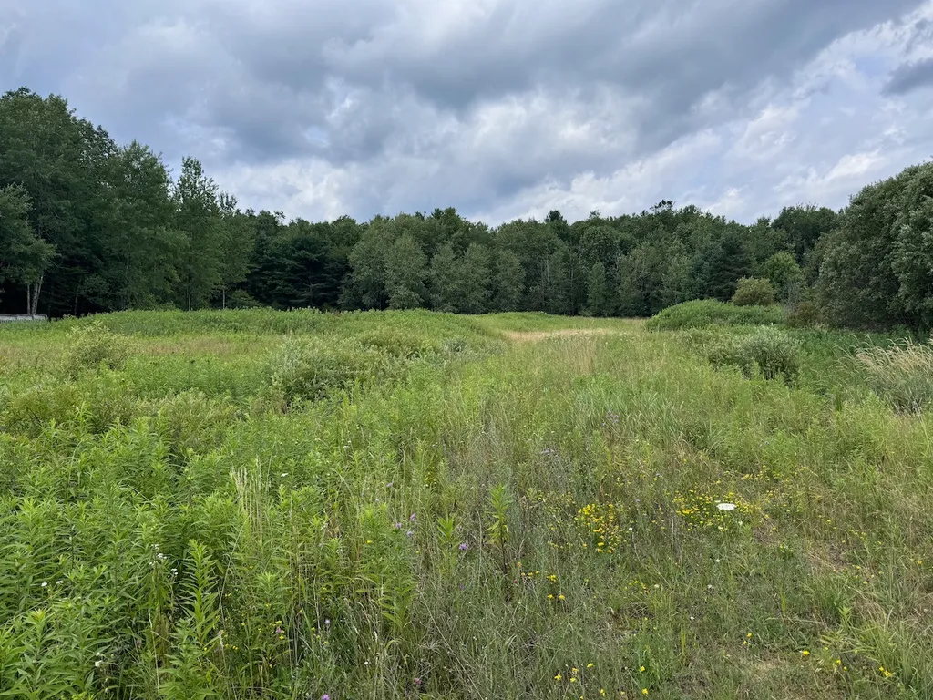 Property at 6263 Turnpike Road, Delhi, NY 13753