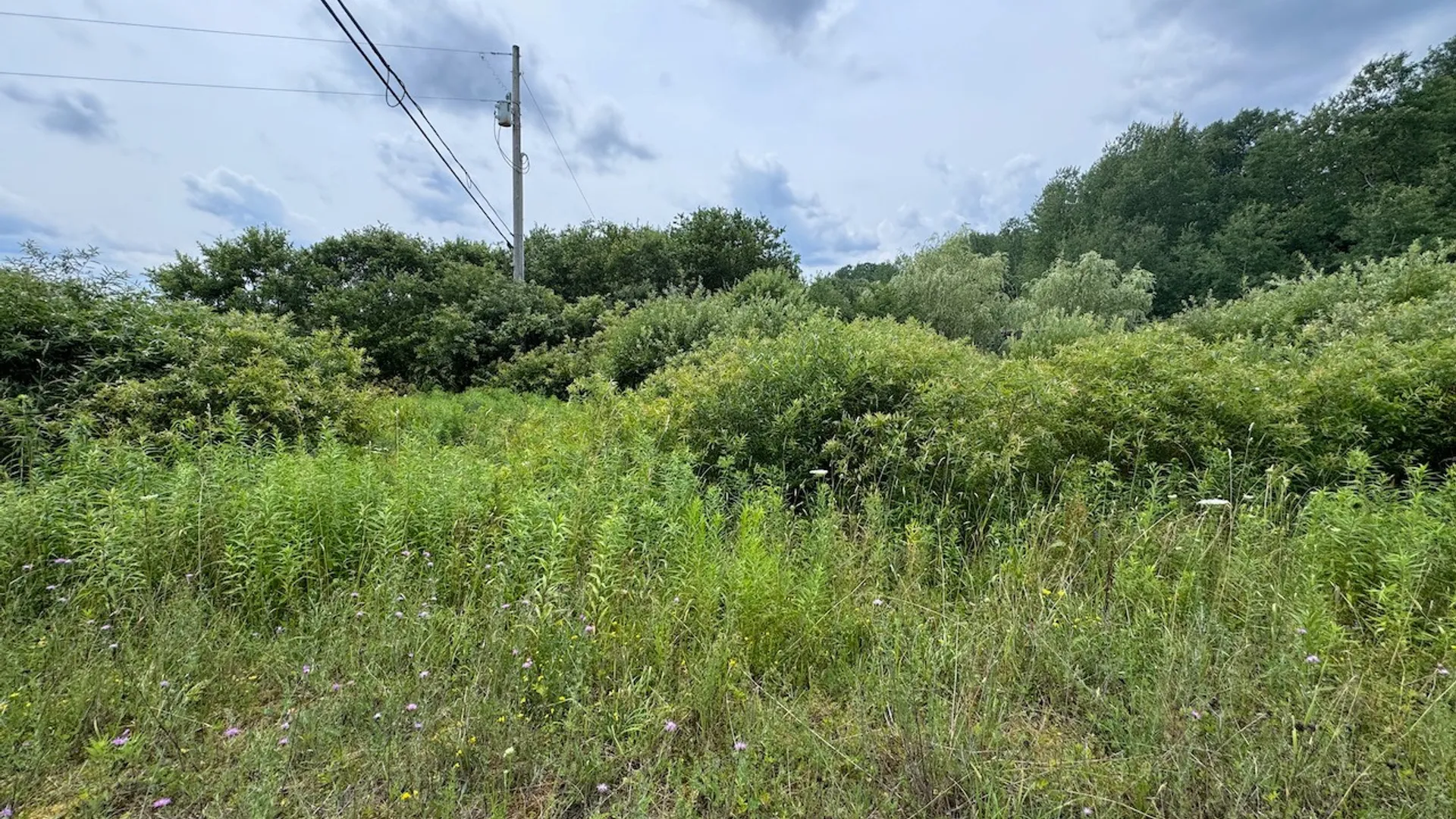 Property at 6263 Turnpike Road, Delhi, NY 13753 4