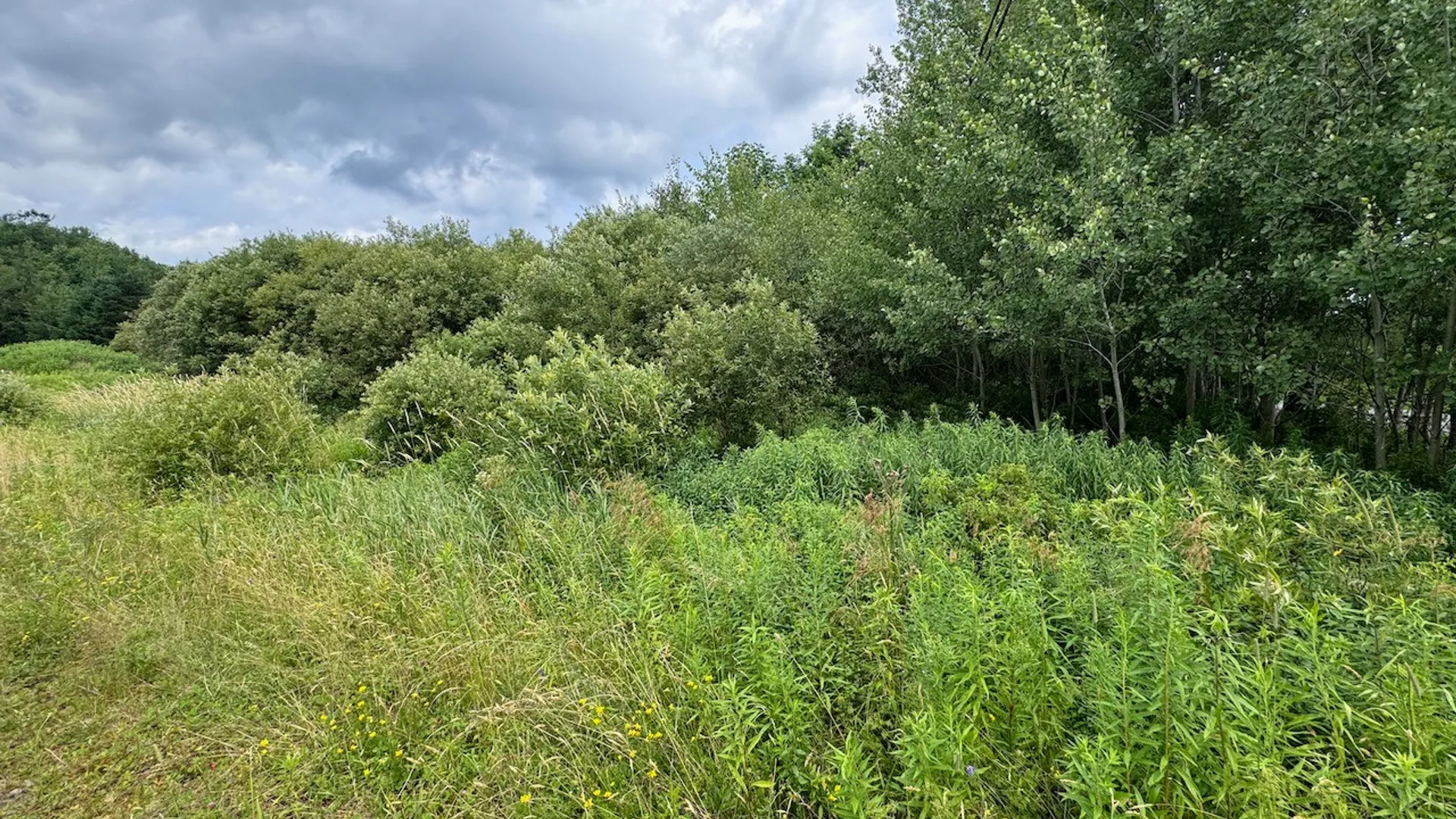 Property at 6263 Turnpike Road, Delhi, NY 13753 5