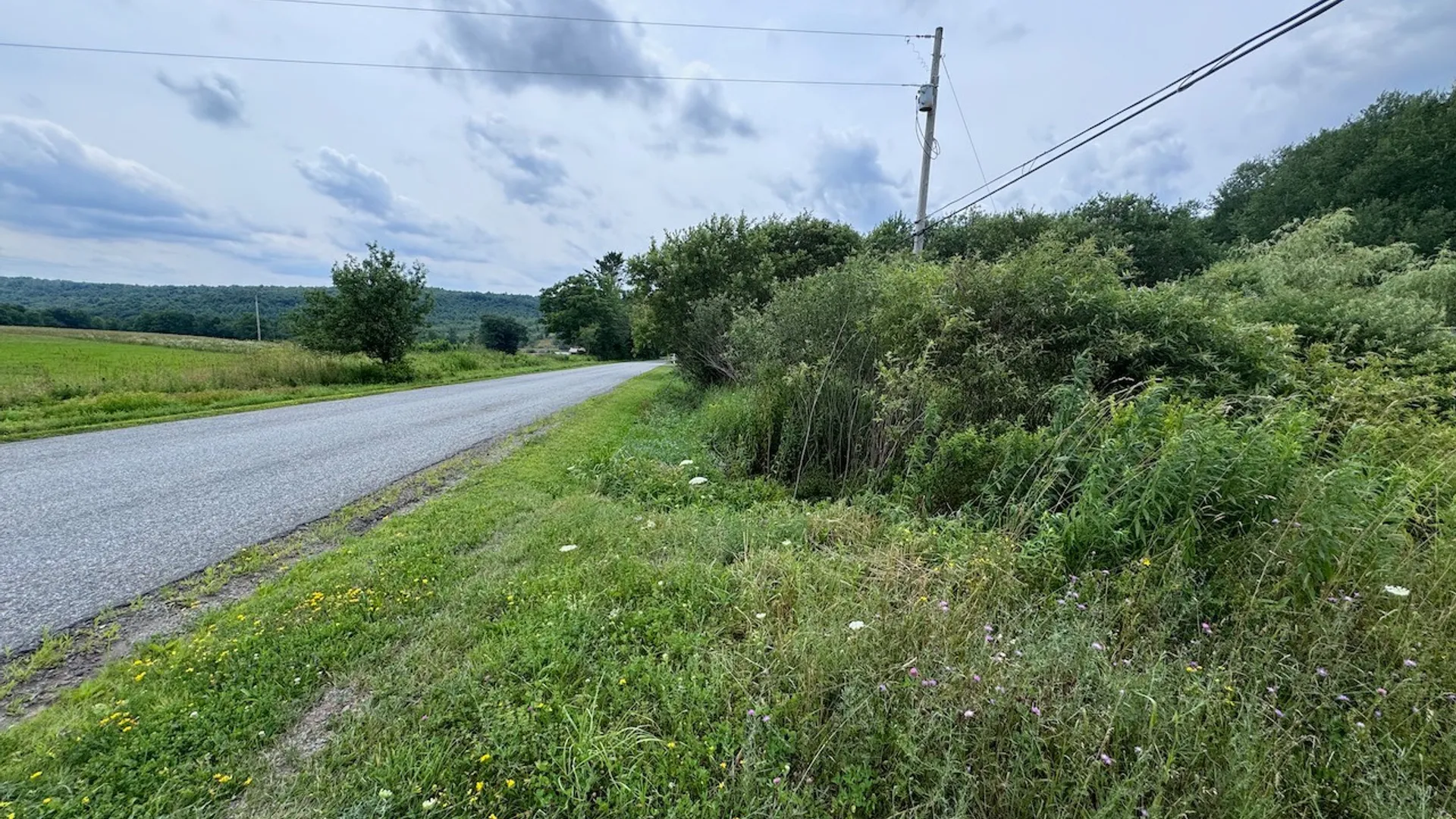 Property at 6263 Turnpike Road, Delhi, NY 13753 6