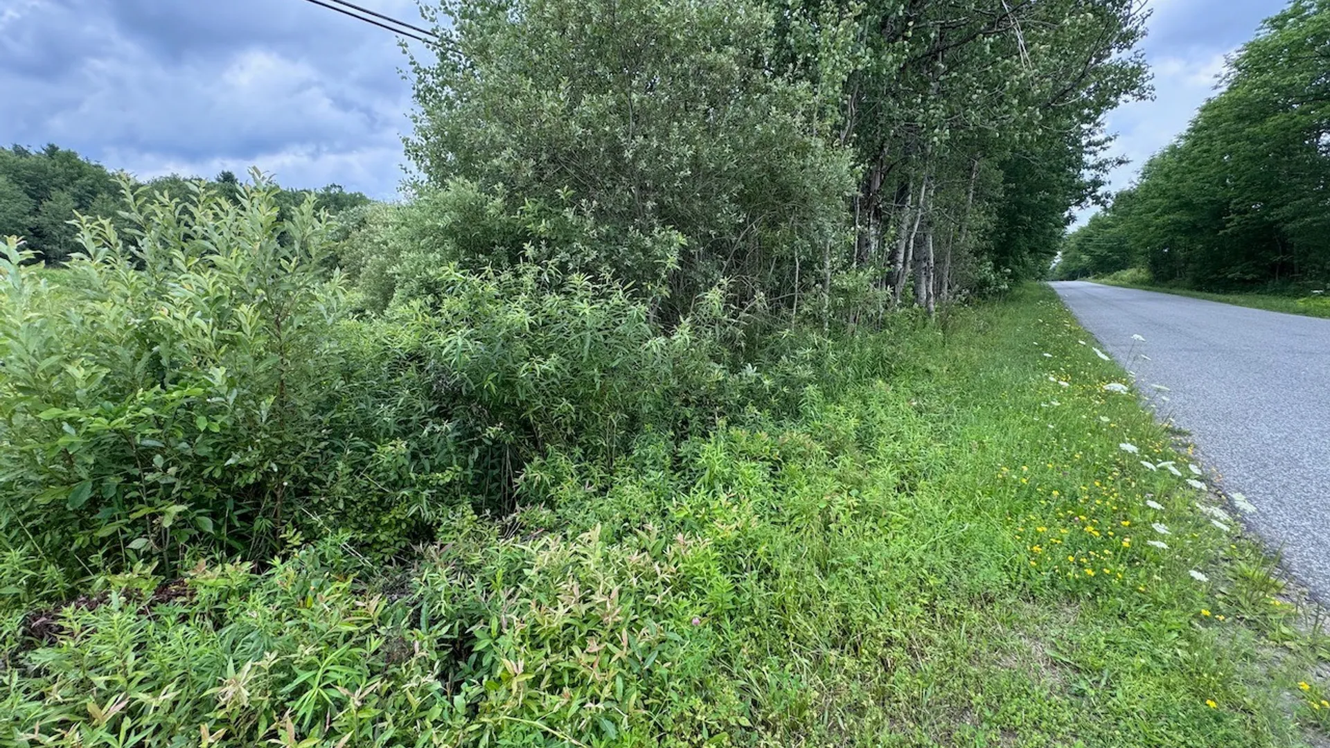 Property at 6263 Turnpike Road, Delhi, NY 13753 9
