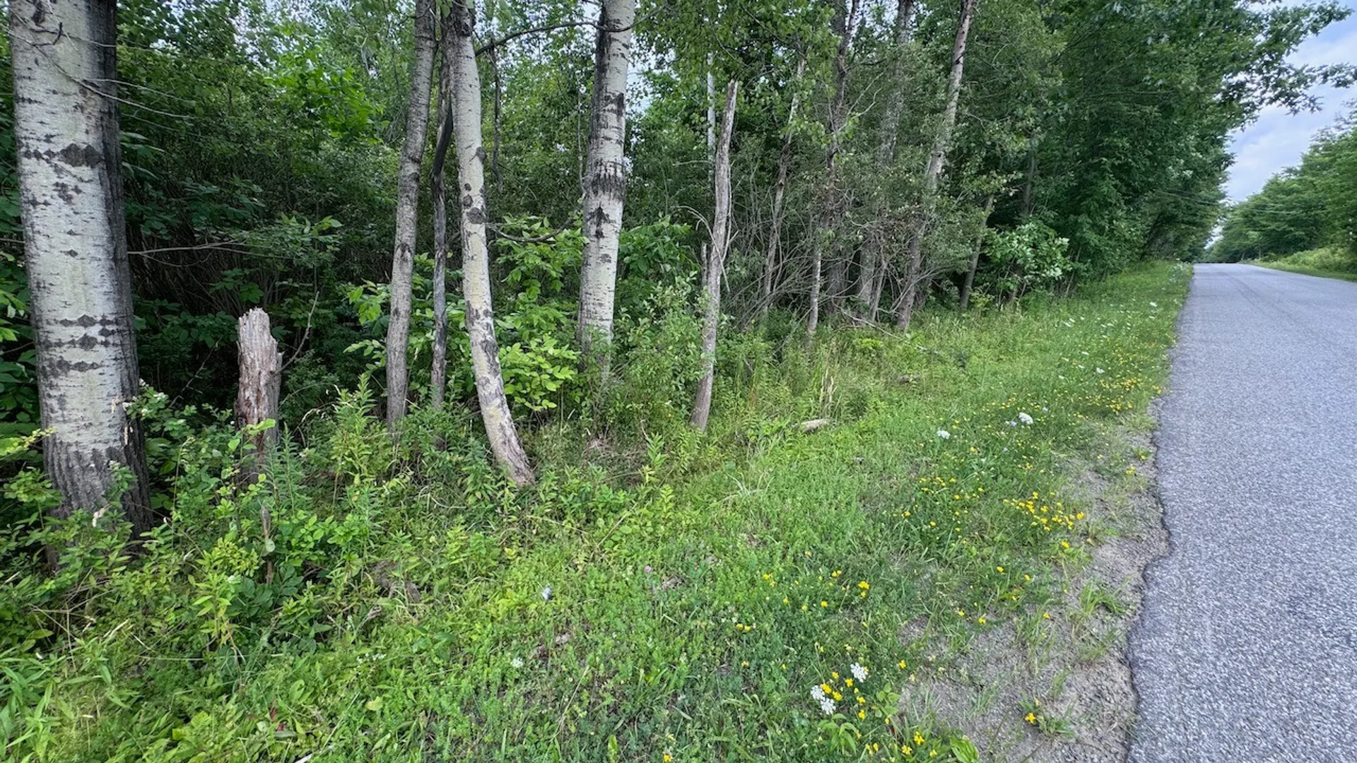 Property at 6263 Turnpike Road, Delhi, NY 13753 10