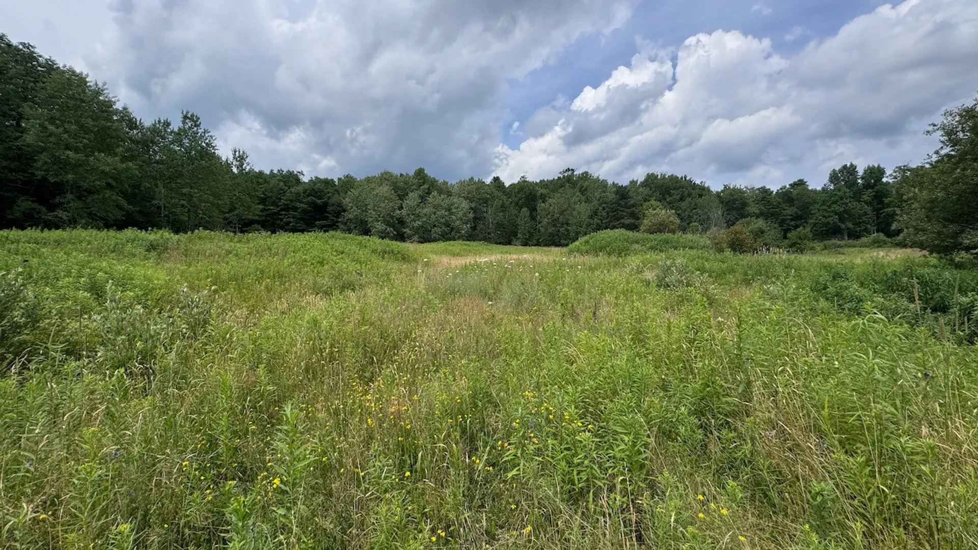 Property at 6263 Turnpike Road, Delhi, NY 13753 11