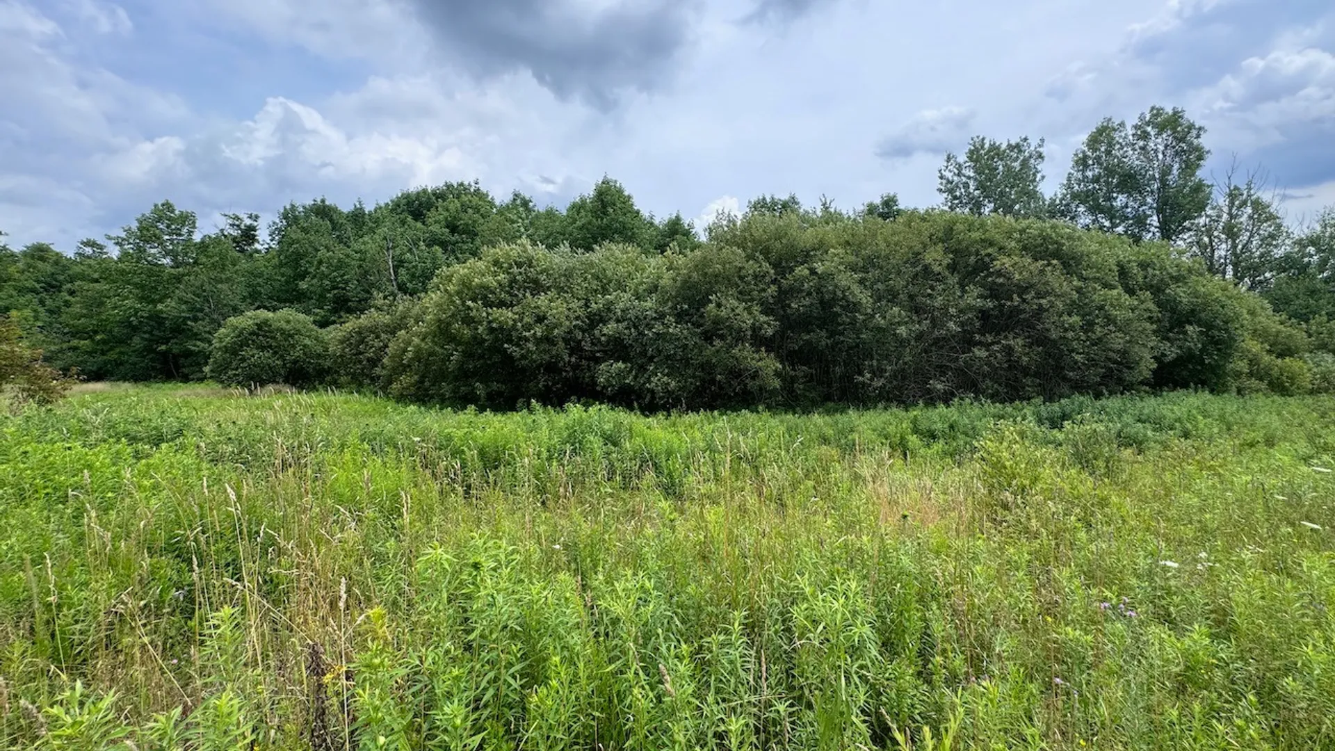 Property at 6263 Turnpike Road, Delhi, NY 13753 14