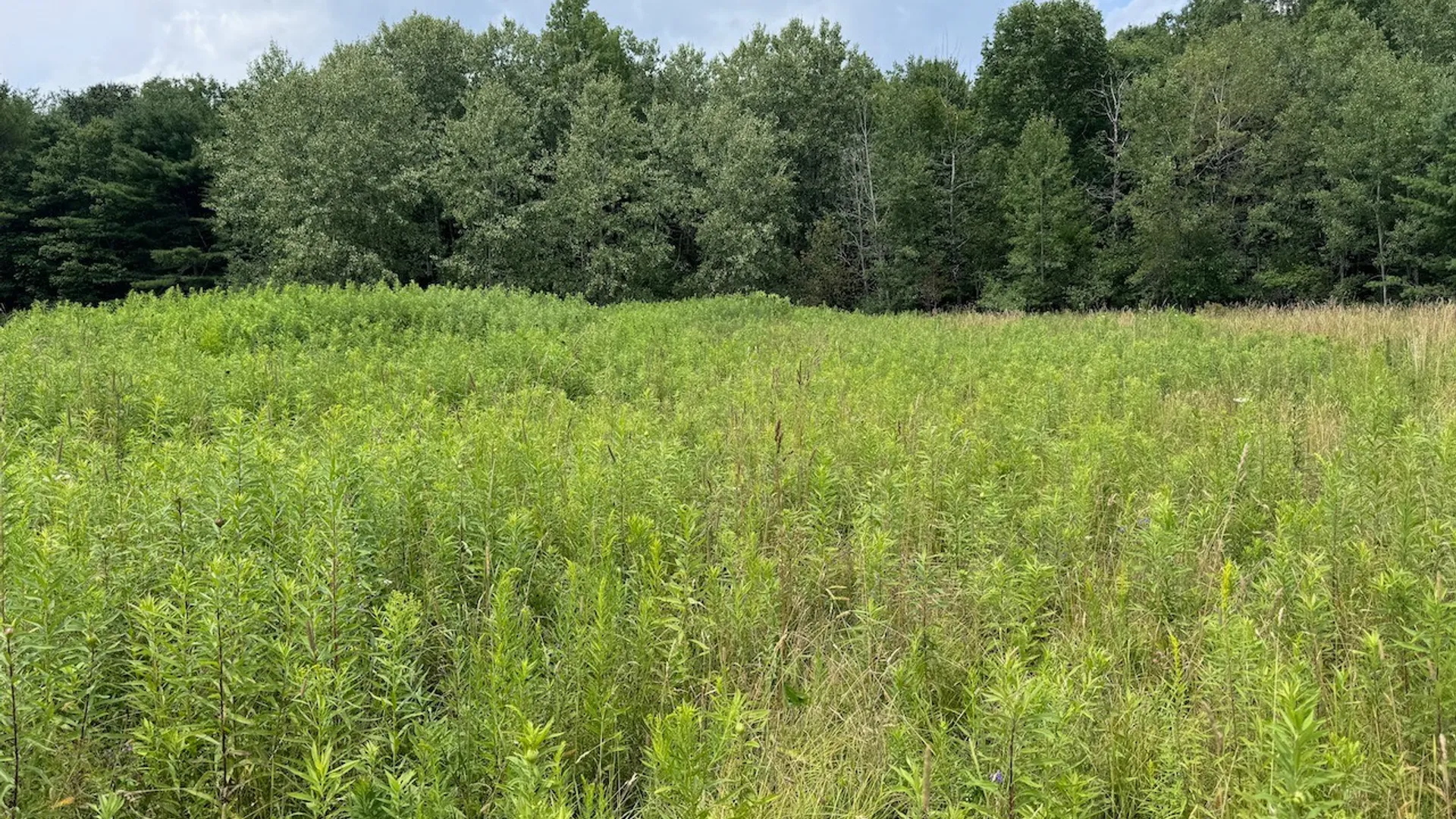 Property at 6263 Turnpike Road, Delhi, NY 13753 15