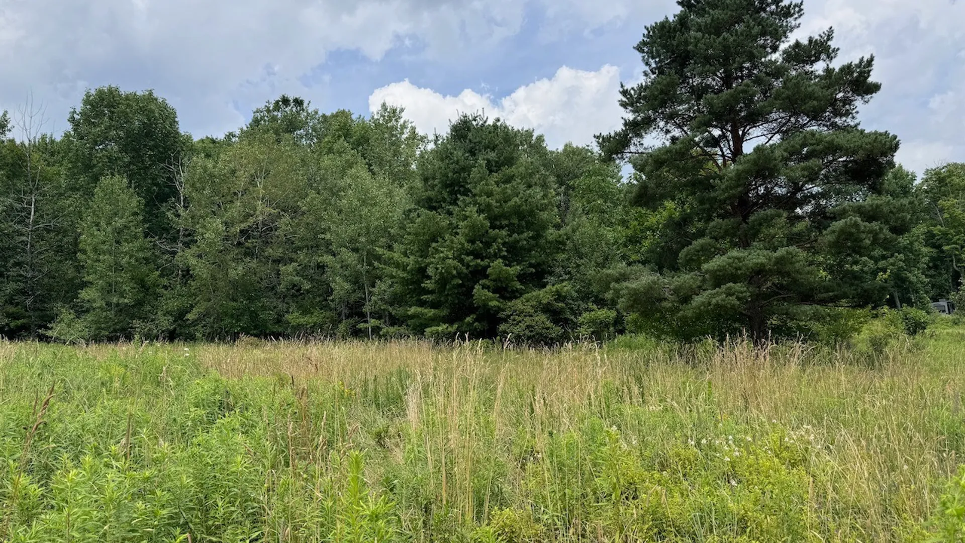 Property at 6263 Turnpike Road, Delhi, NY 13753 17