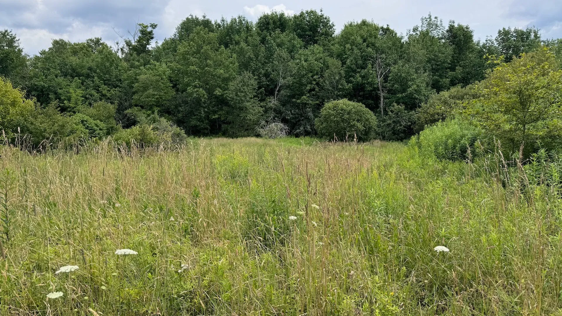 Property at 6263 Turnpike Road, Delhi, NY 13753 18