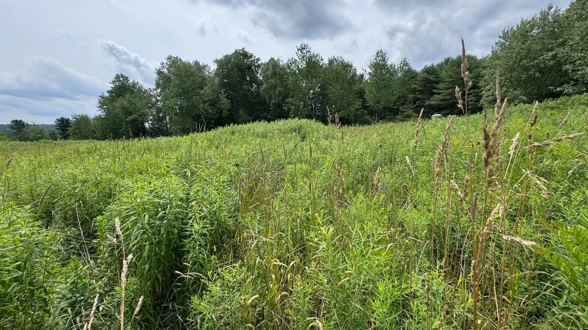 Property at 6263 Turnpike Road, Delhi, NY 13753 22