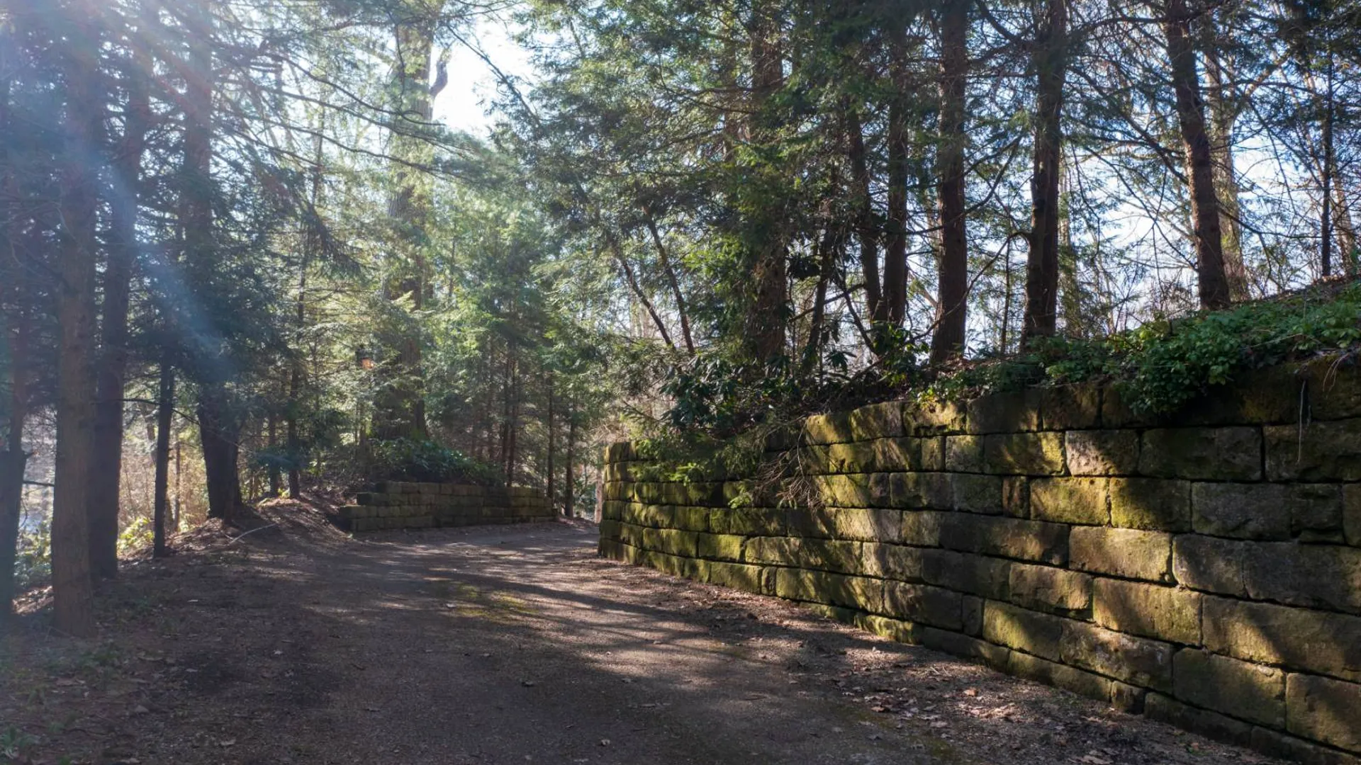 Property at 2440 B Shadyside Rd., Findley Lake, NY 14736 74