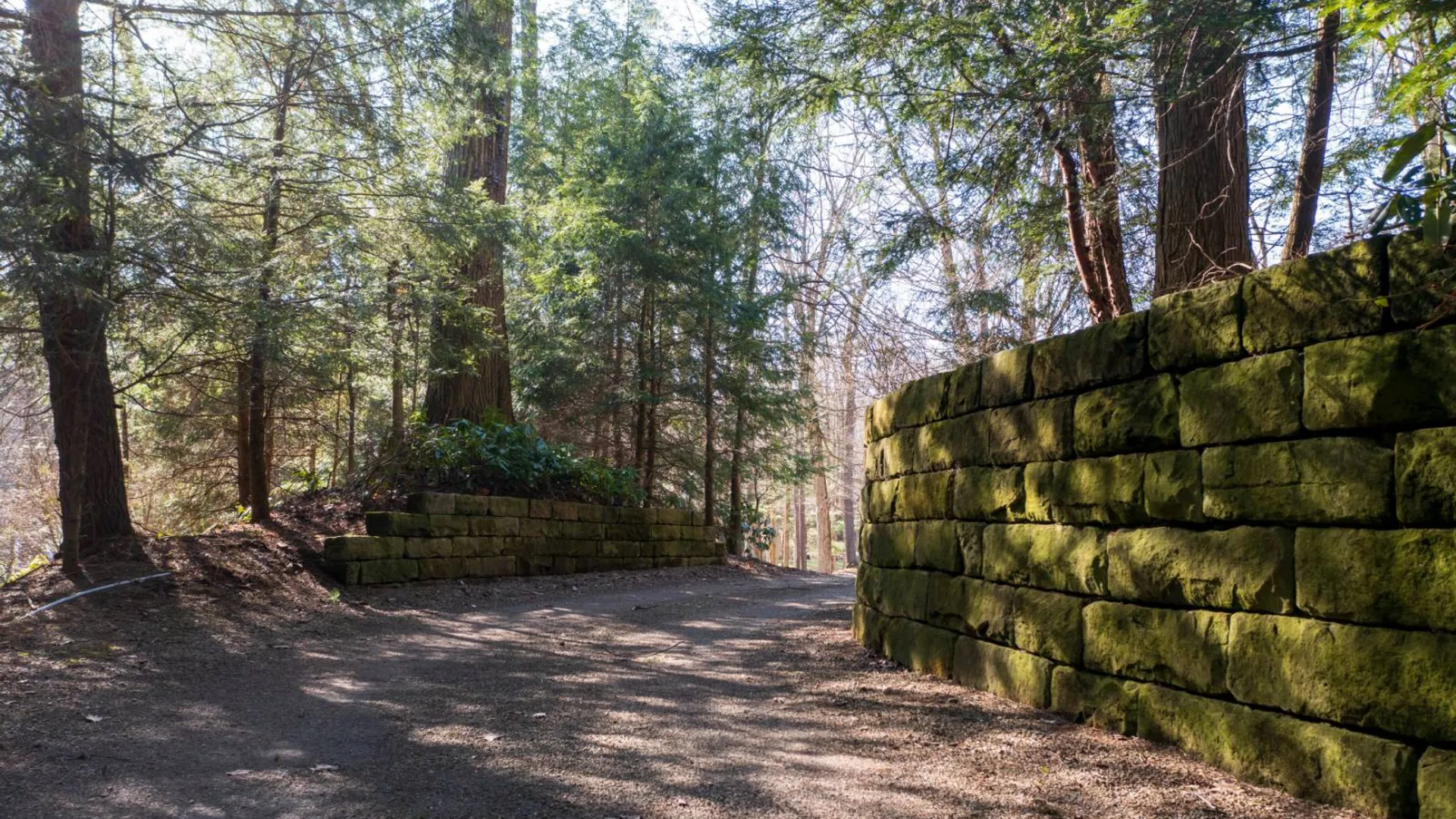 Property at 2440 B Shadyside Rd., Findley Lake, NY 14736 75