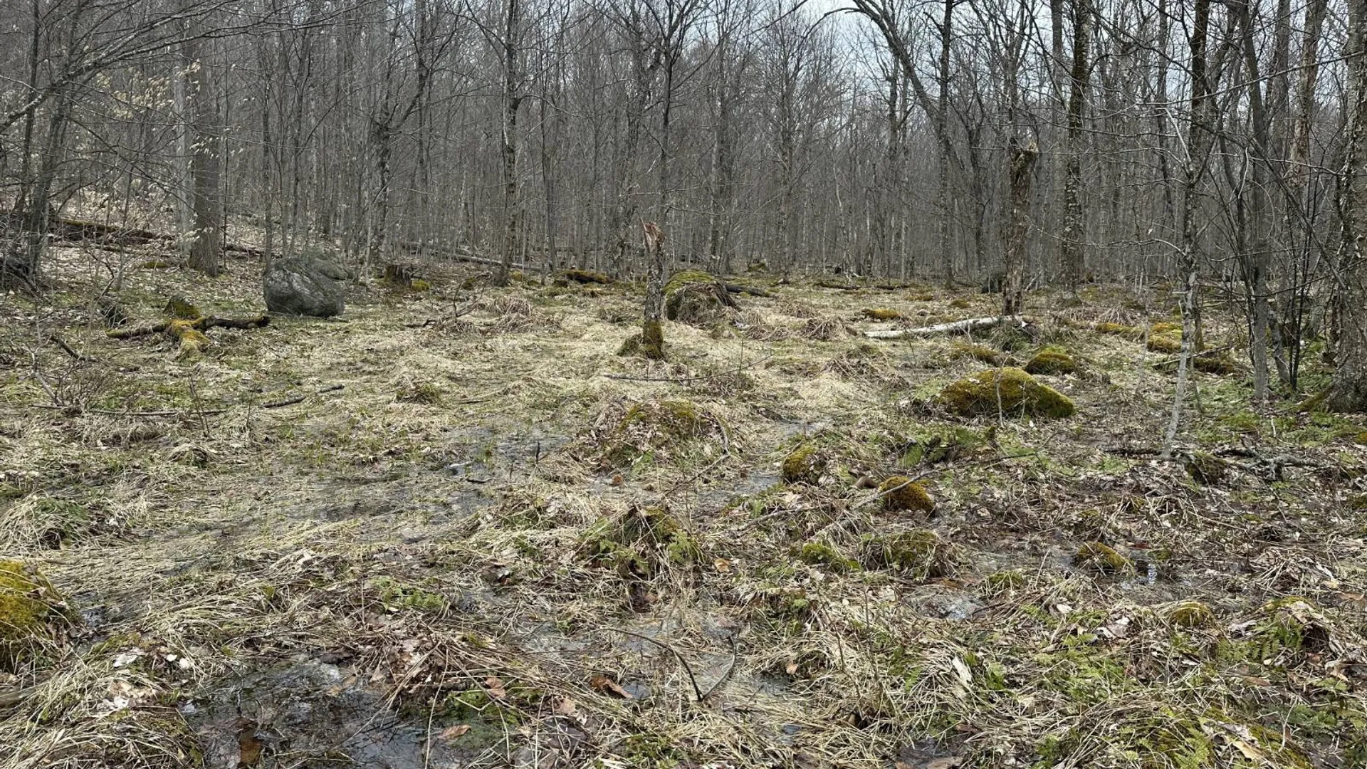 Property at 0 Malone Line,, Malone, NY 12953 8