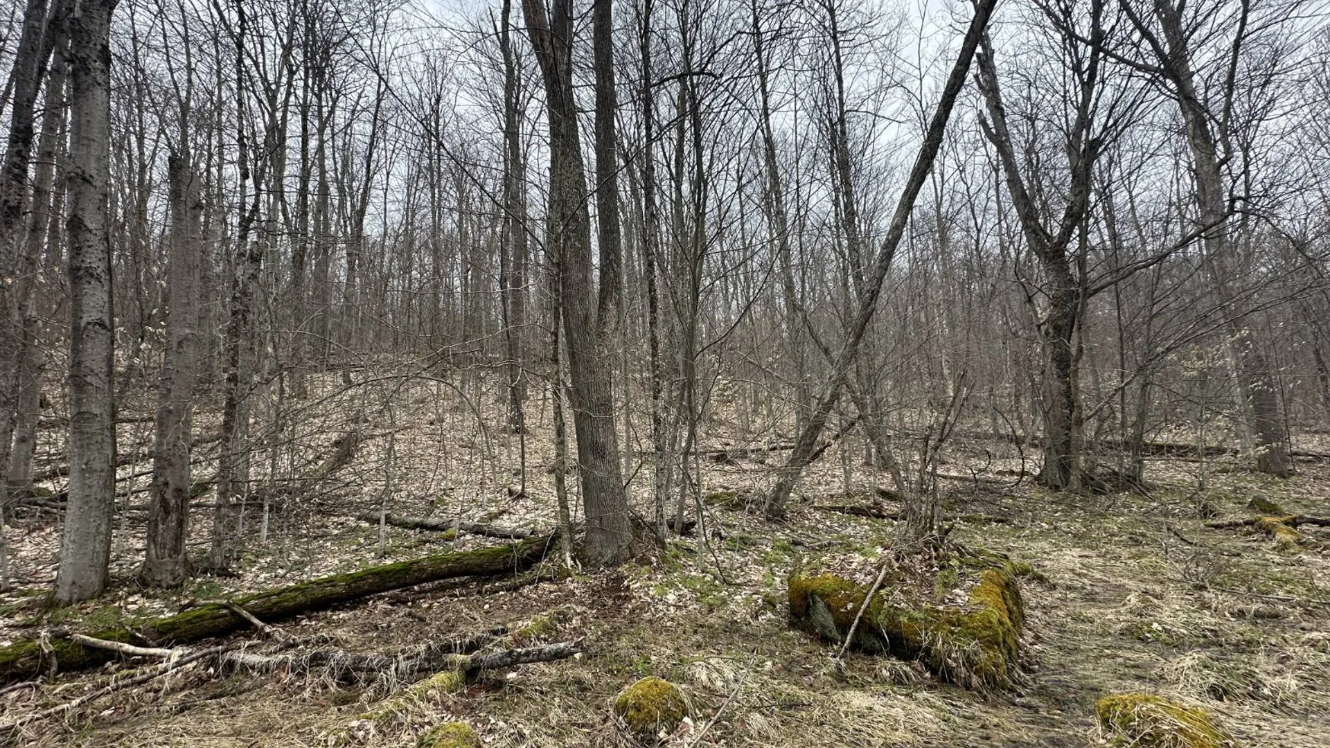 Property at 0 Malone Line,, Malone, NY 12953 9