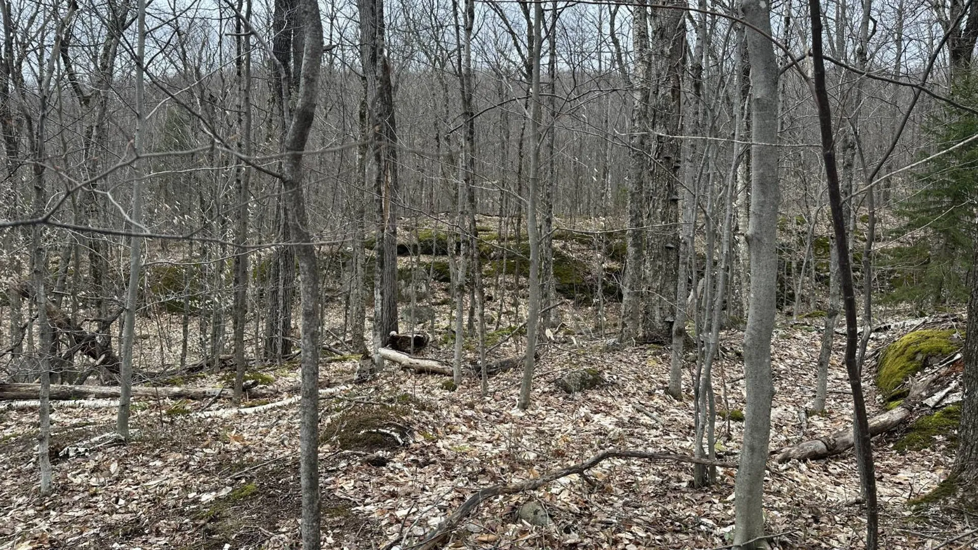 Property at 0 Malone Line,, Malone, NY 12953 10