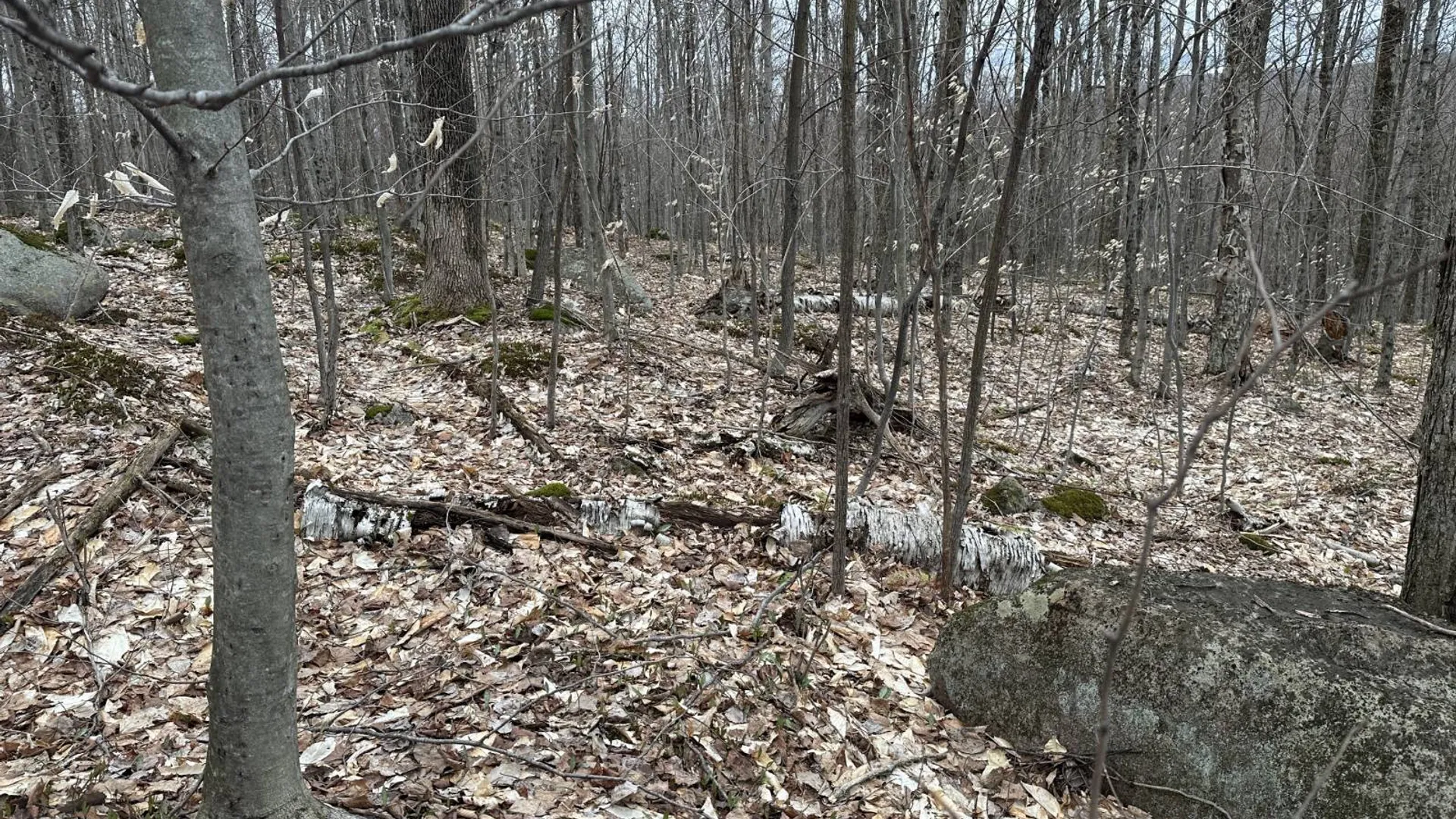 Property at 0 Malone Line,, Malone, NY 12953 11