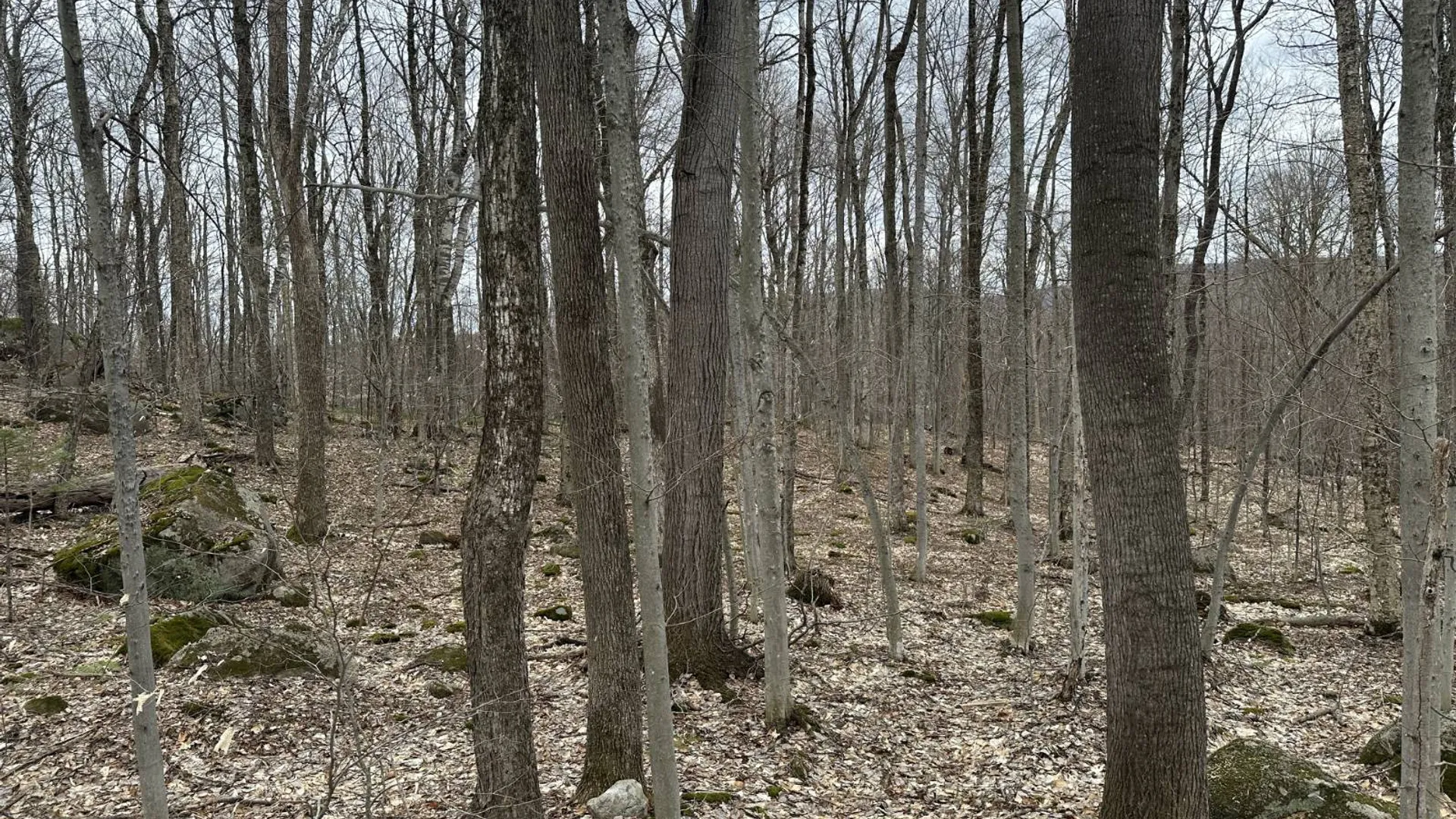 Property at 0 Malone Line,, Malone, NY 12953 13