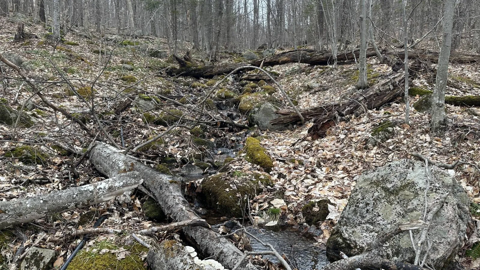 Property at 0 Malone Line,, Malone, NY 12953 14