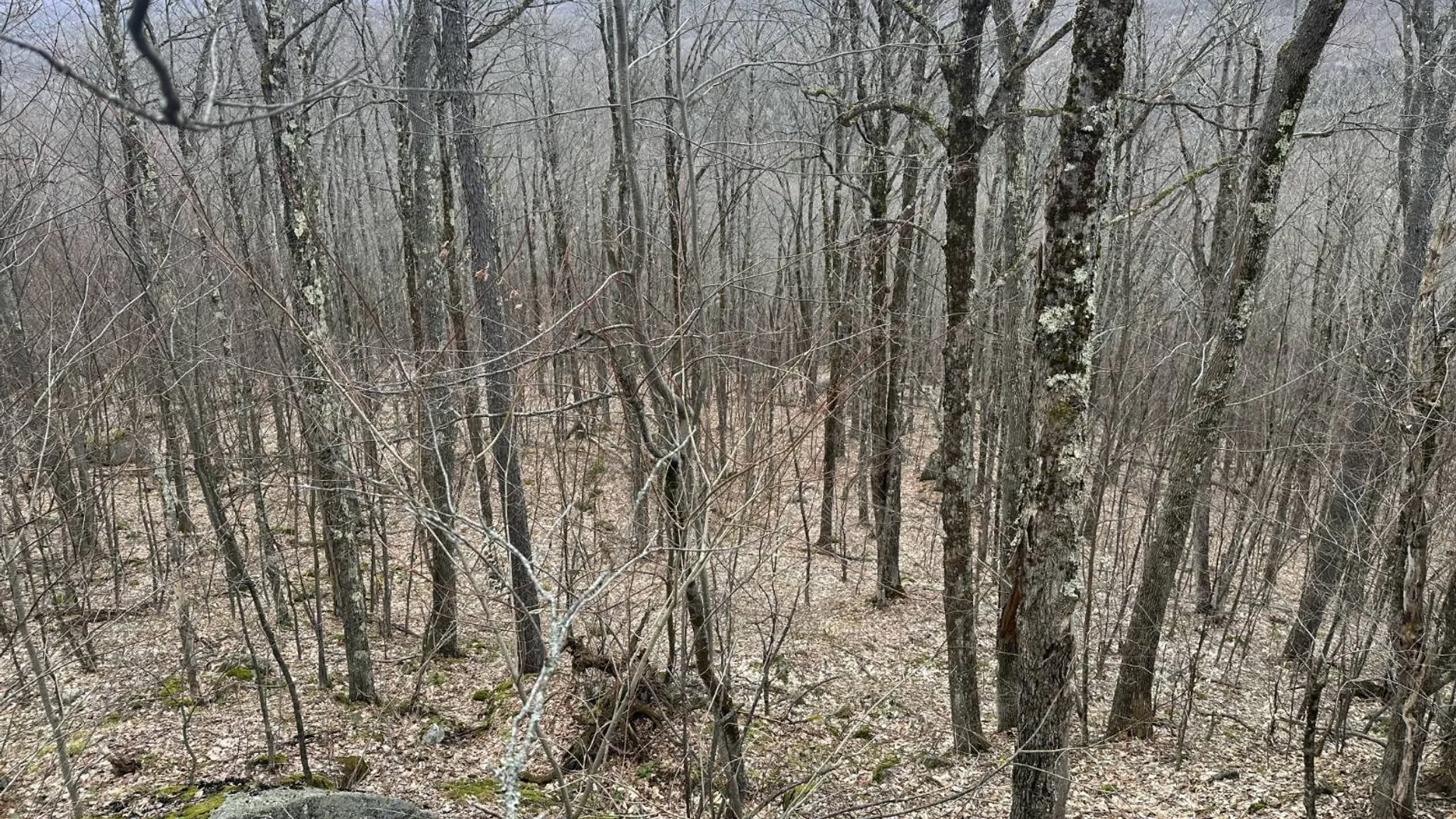Property at 0 Malone Line,, Malone, NY 12953 21