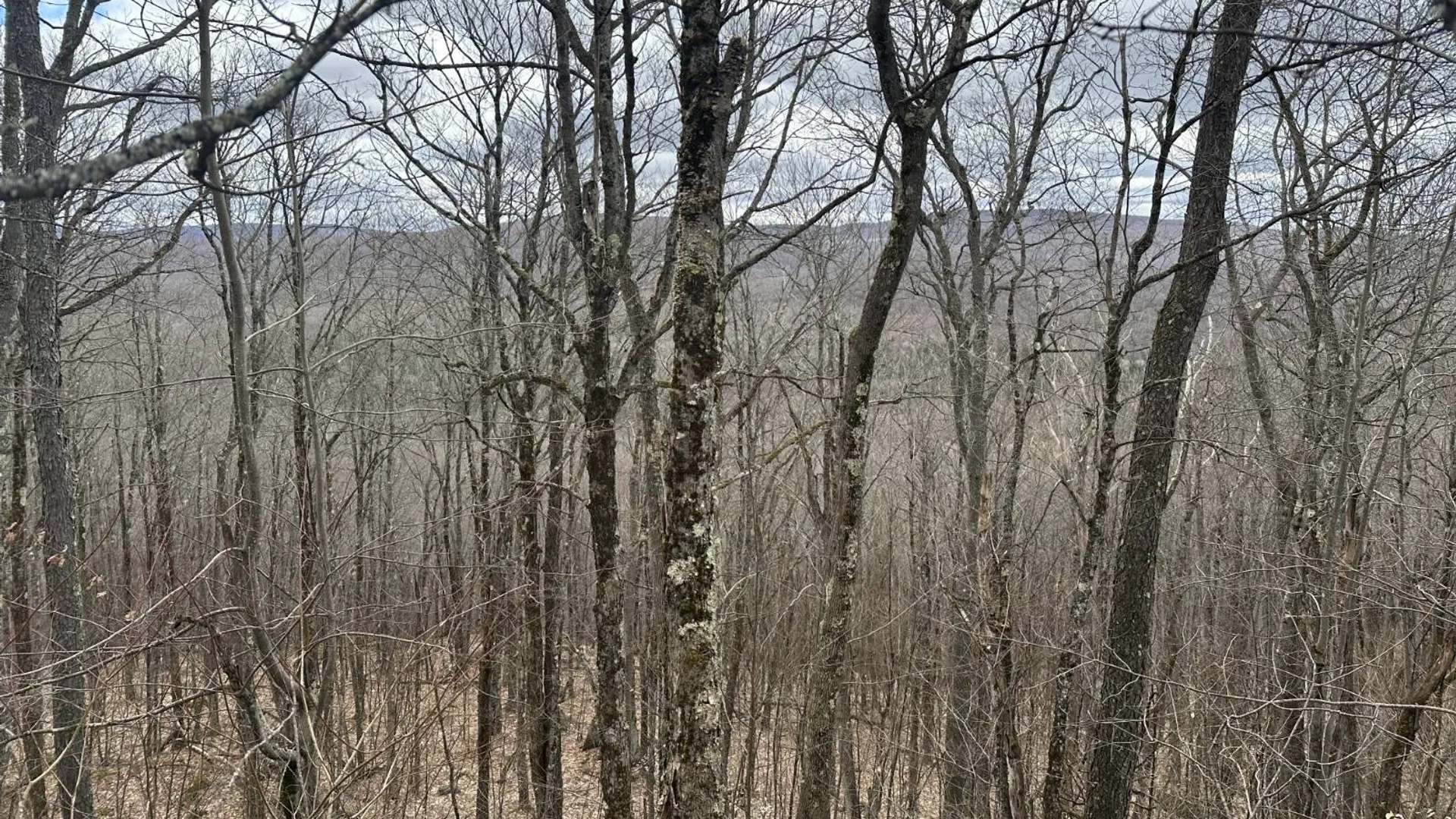 Property at 0 Malone Line,, Malone, NY 12953 22