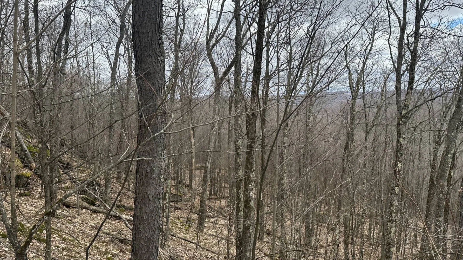 Property at 0 Malone Line,, Malone, NY 12953 23