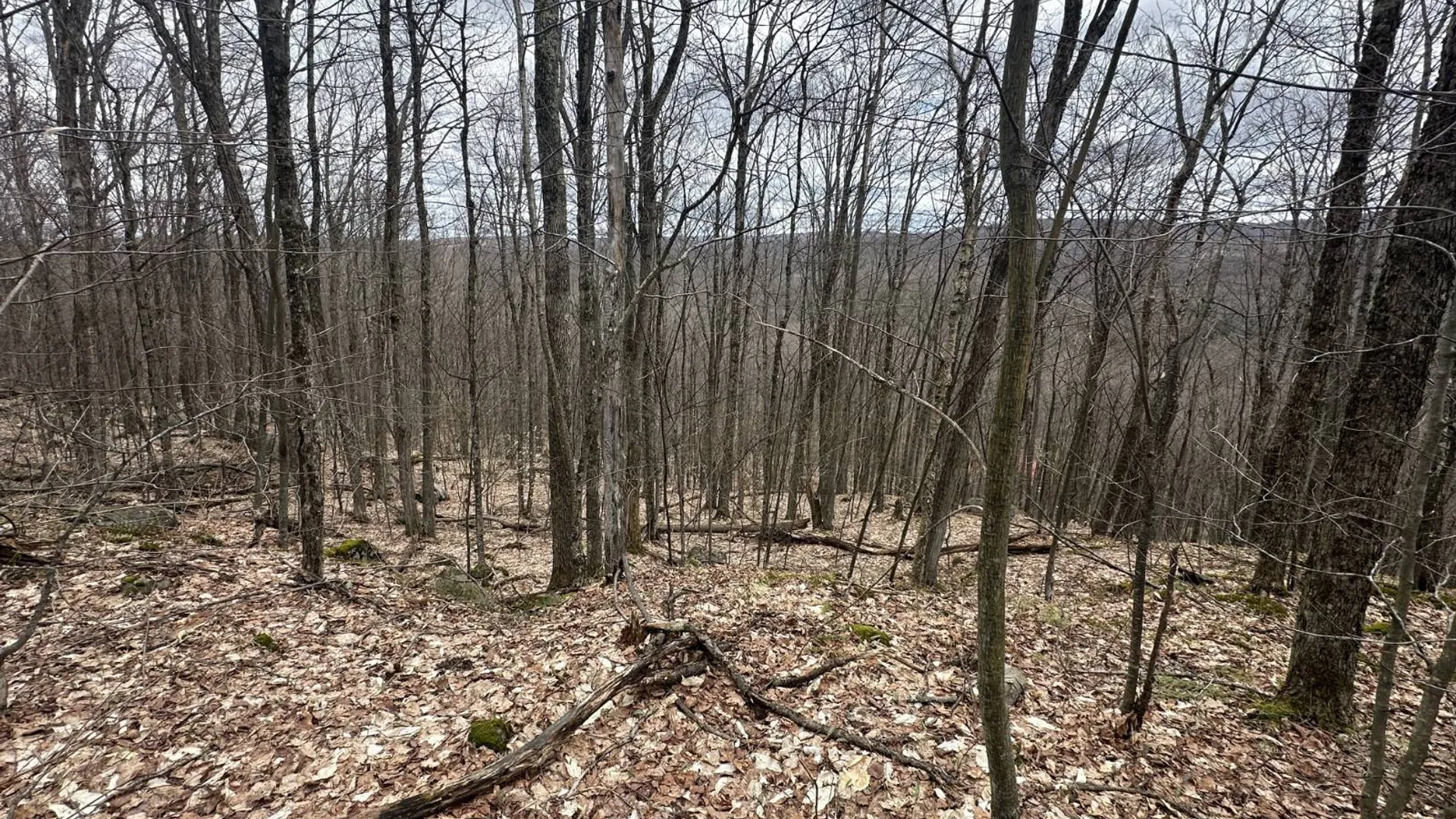 Property at 0 Malone Line,, Malone, NY 12953 24