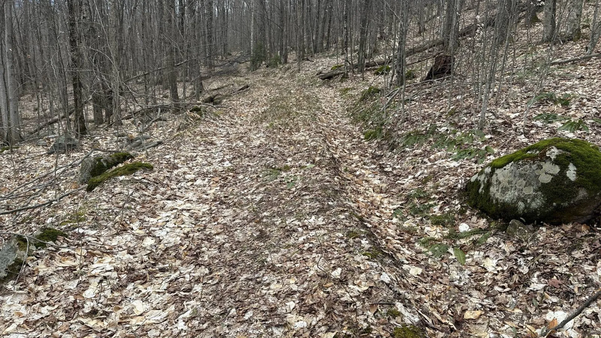 Property at 0 Malone Line,, Malone, NY 12953 25