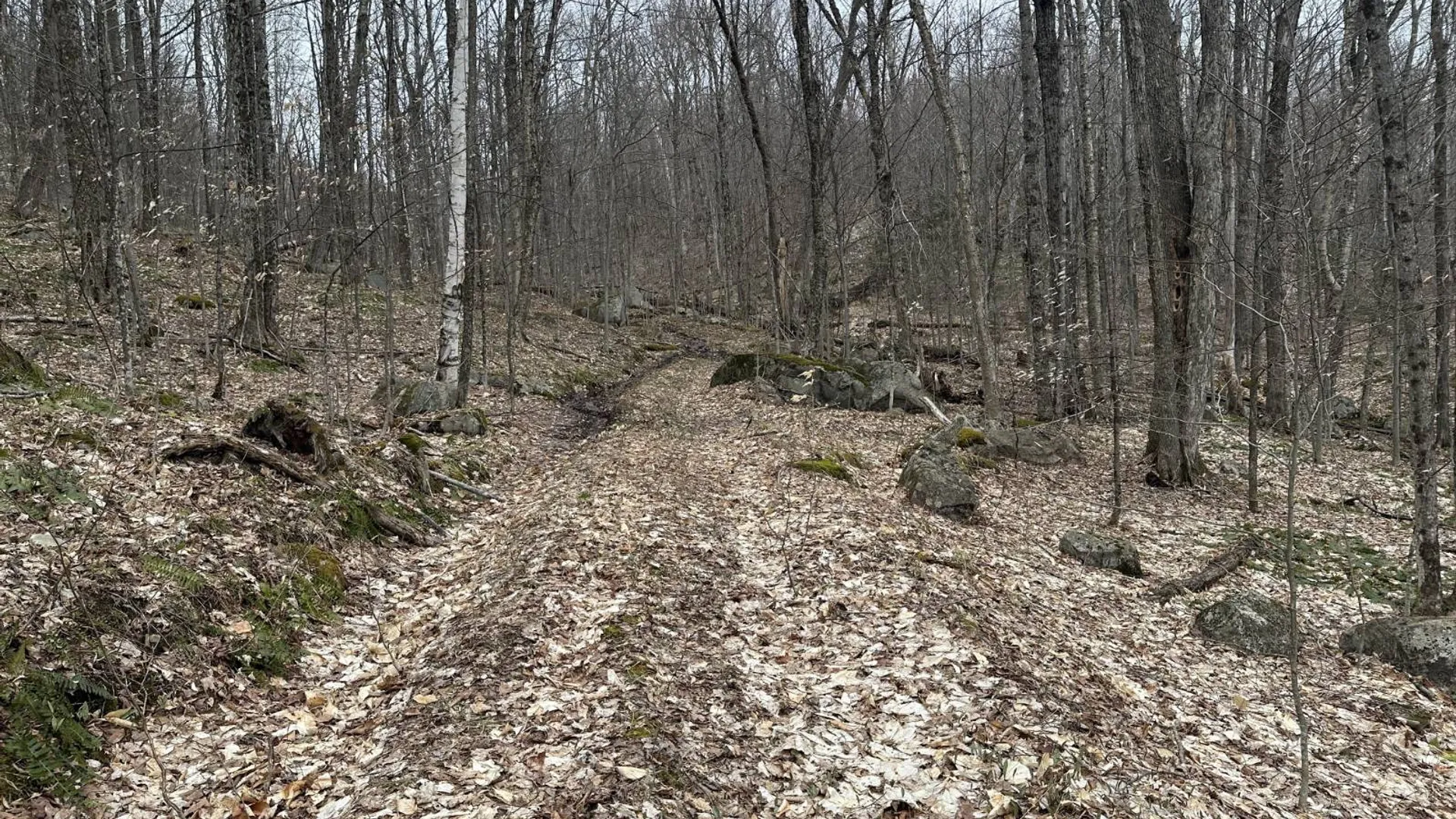 Property at 0 Malone Line,, Malone, NY 12953 26
