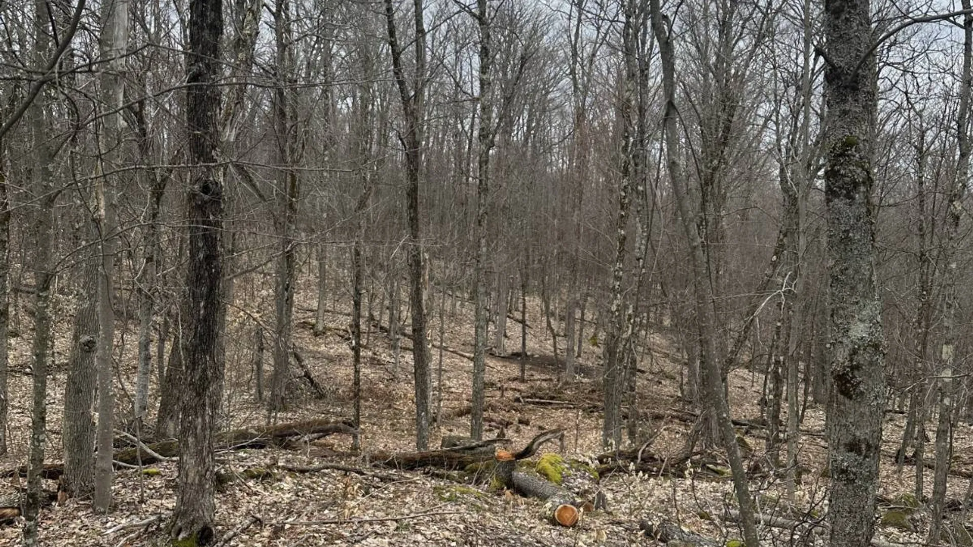 Property at 0 Malone Line,, Malone, NY 12953 28