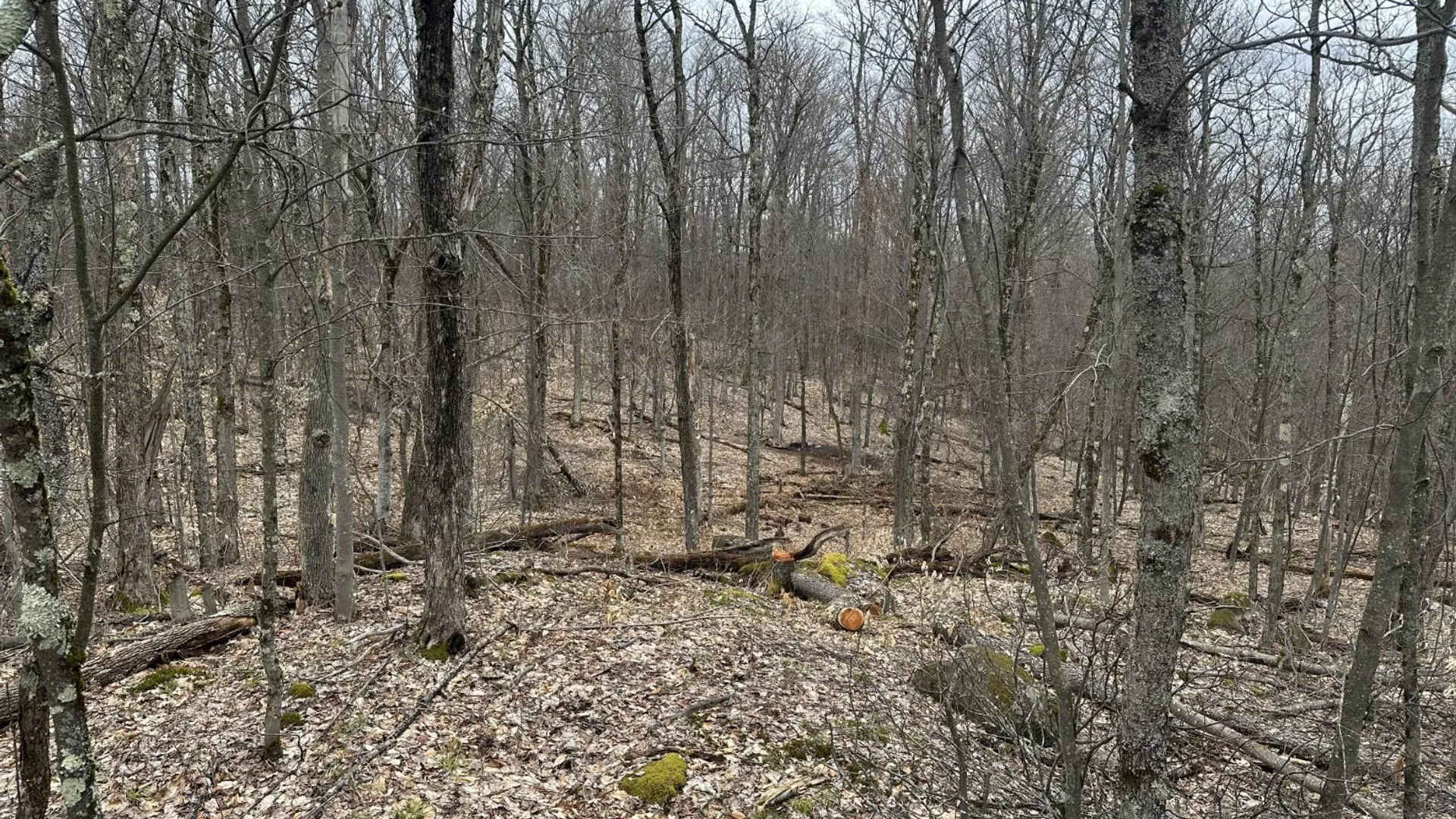 Property at 0 Malone Line,, Malone, NY 12953 29