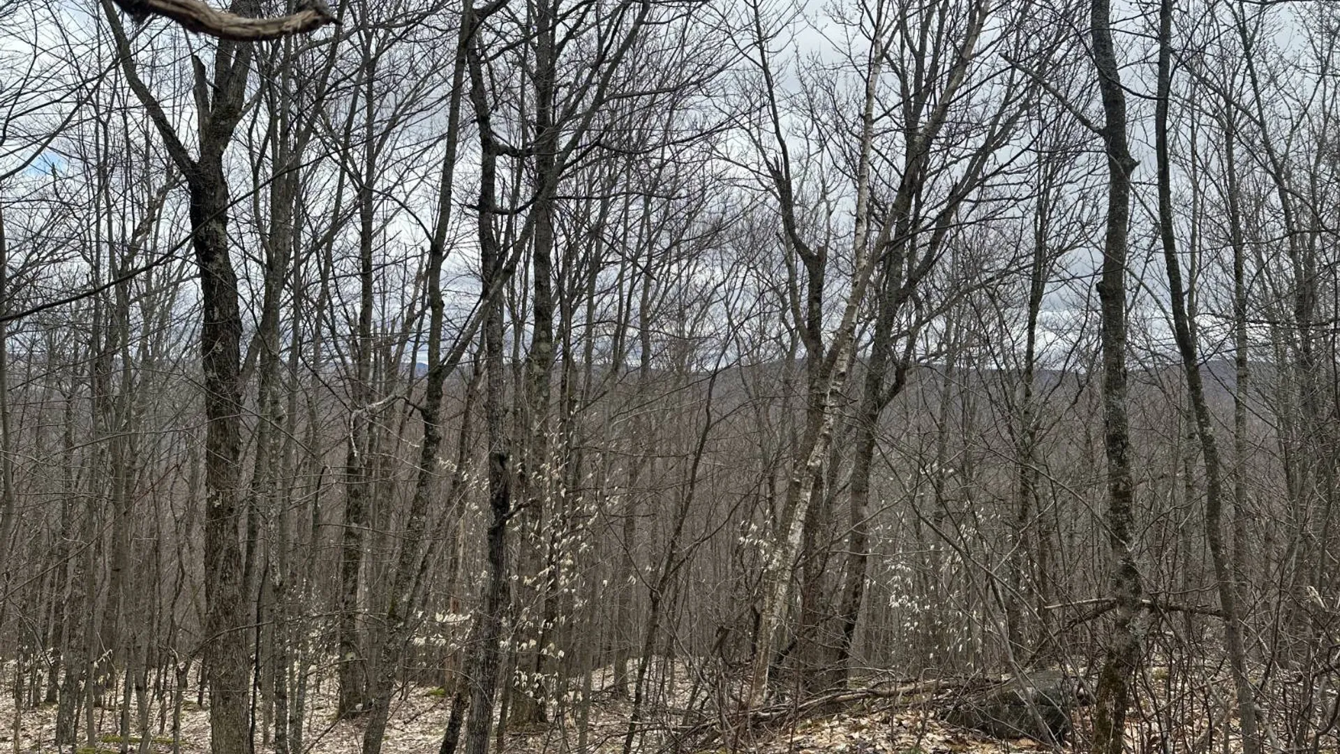 Property at 0 Malone Line,, Malone, NY 12953 30