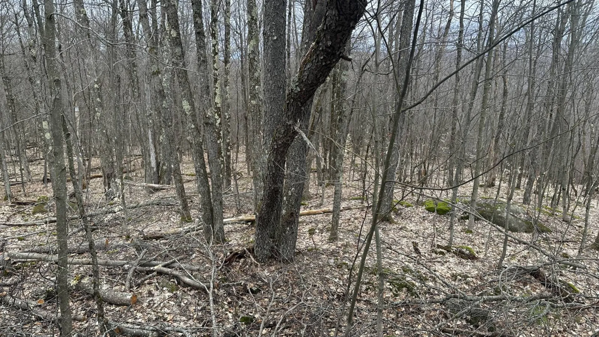 Property at 0 Malone Line,, Malone, NY 12953 31