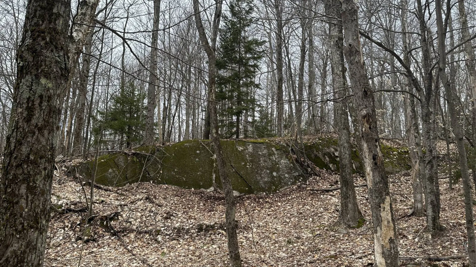 Property at 0 Malone Line,, Malone, NY 12953 32