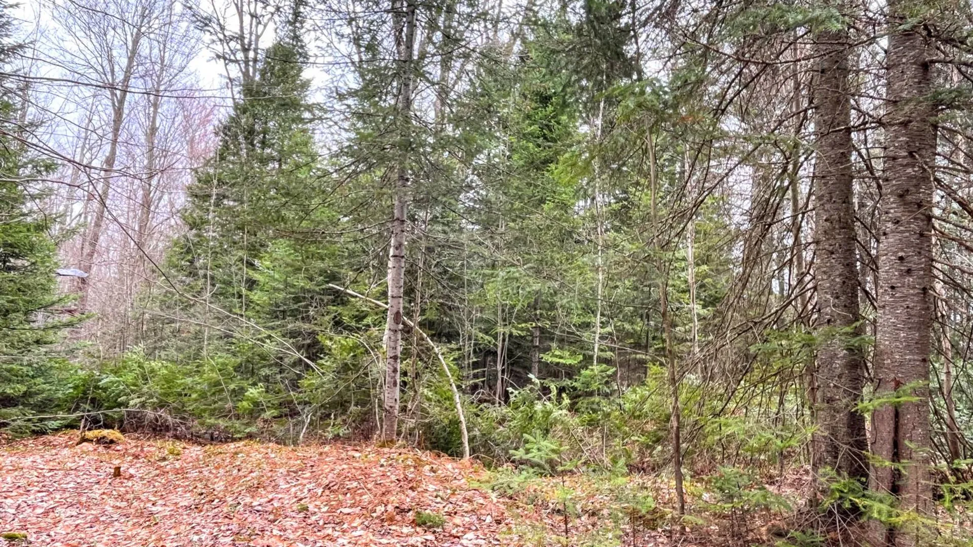 Property at 00 Palmer Rd, Saint Regis Falls, NY 12980 11