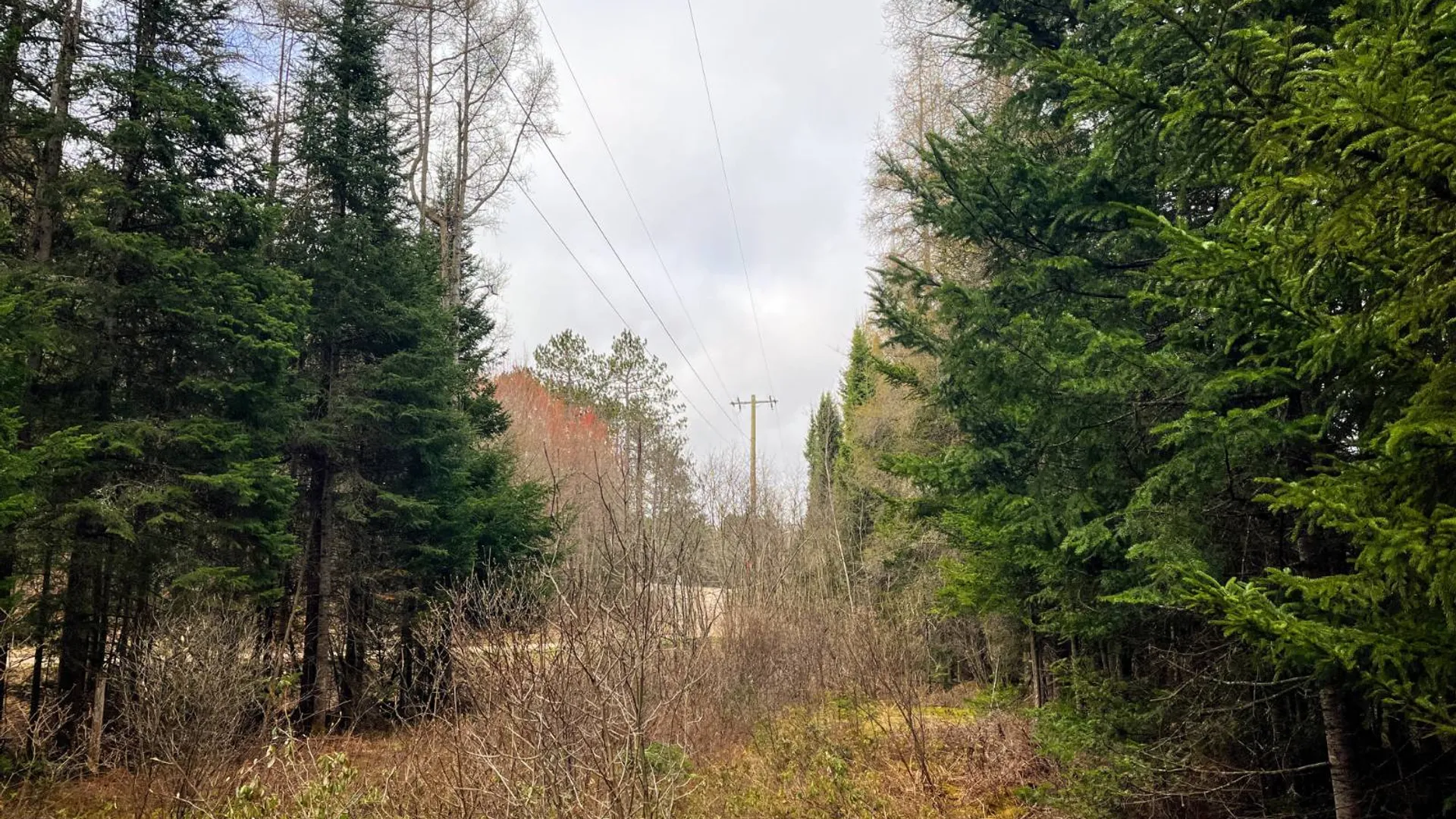 Property at 00 Palmer Rd, Saint Regis Falls, NY 12980 18