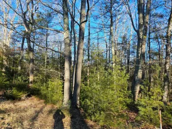 Property at Lot 57.1 Yulan-Barryville Rd, Highland, NY 12791