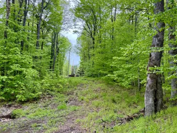 Property at 532 State Route 8, Piseco, NY 12139