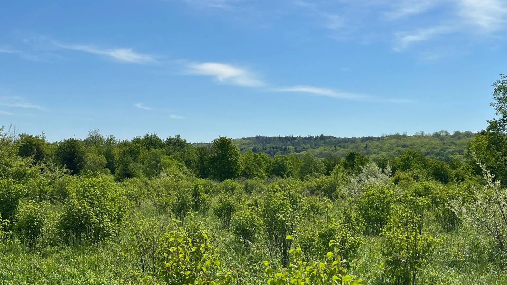 Property at 2 VL Fairview Road, Farmersville Station, NY 14060 5