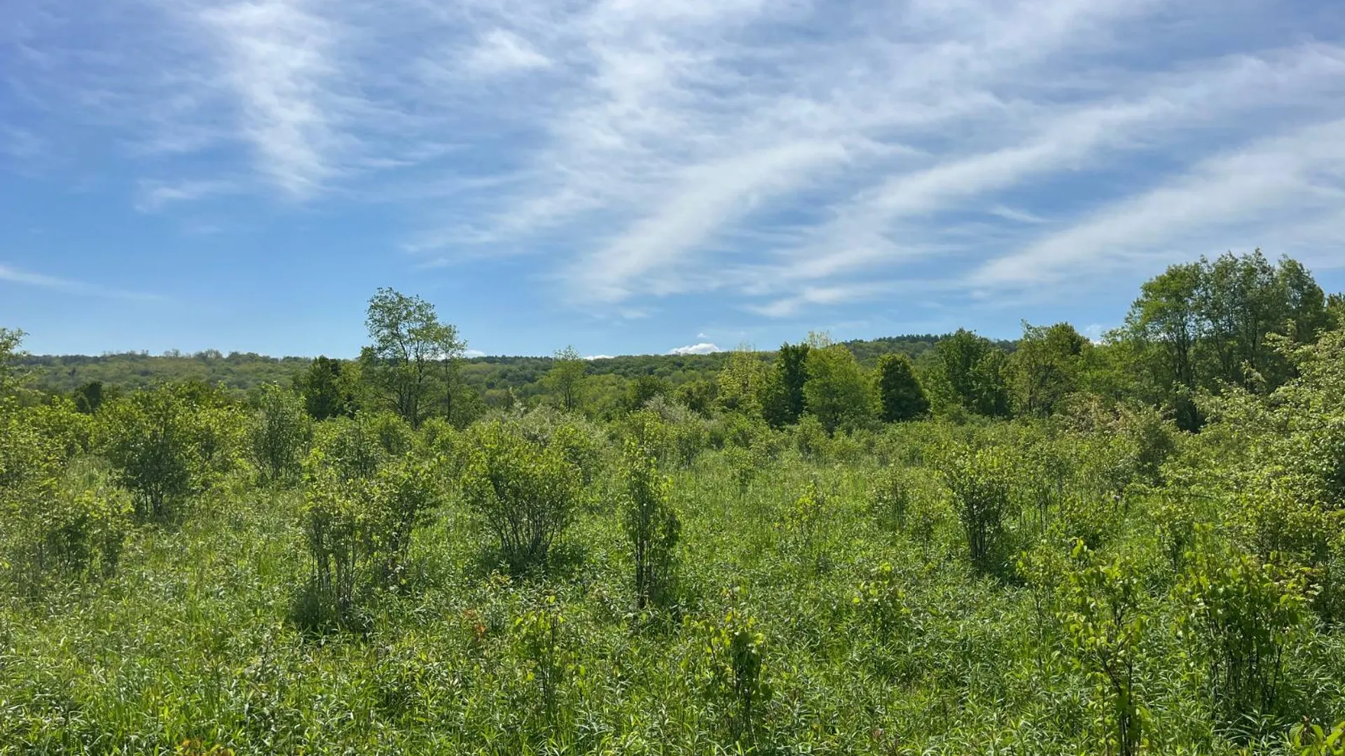 Property at 2 VL Fairview Road, Farmersville Station, NY 14060 7
